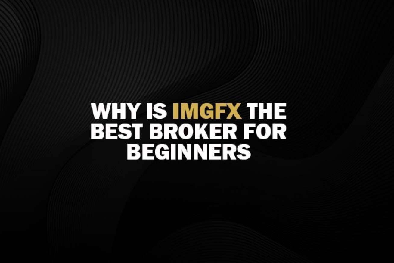 Soluciones de inversión para principiantes y expertos, con IMGFX
