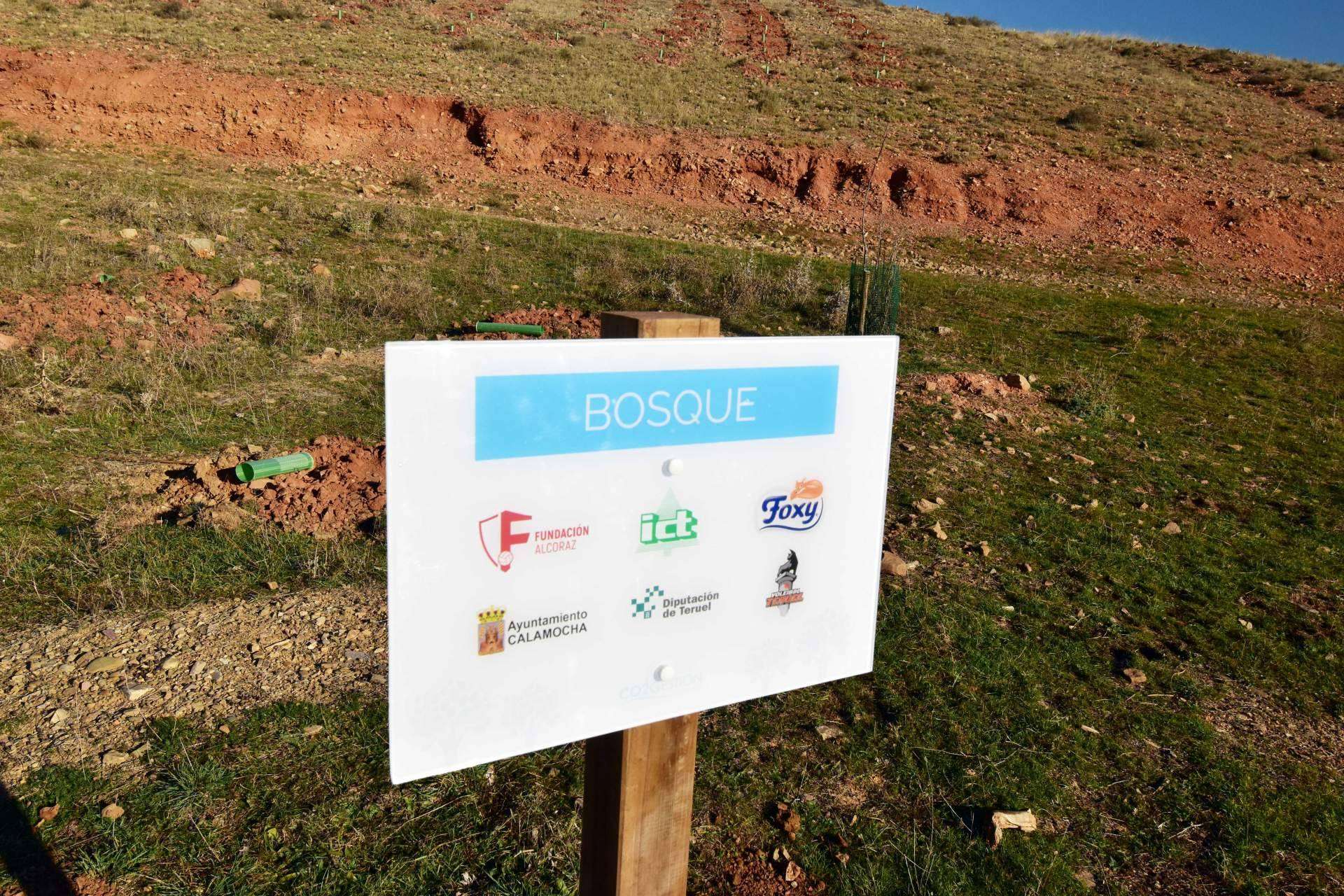 CO2 GESTIÓN, un referente nacional en la creación de bosques sostenibles