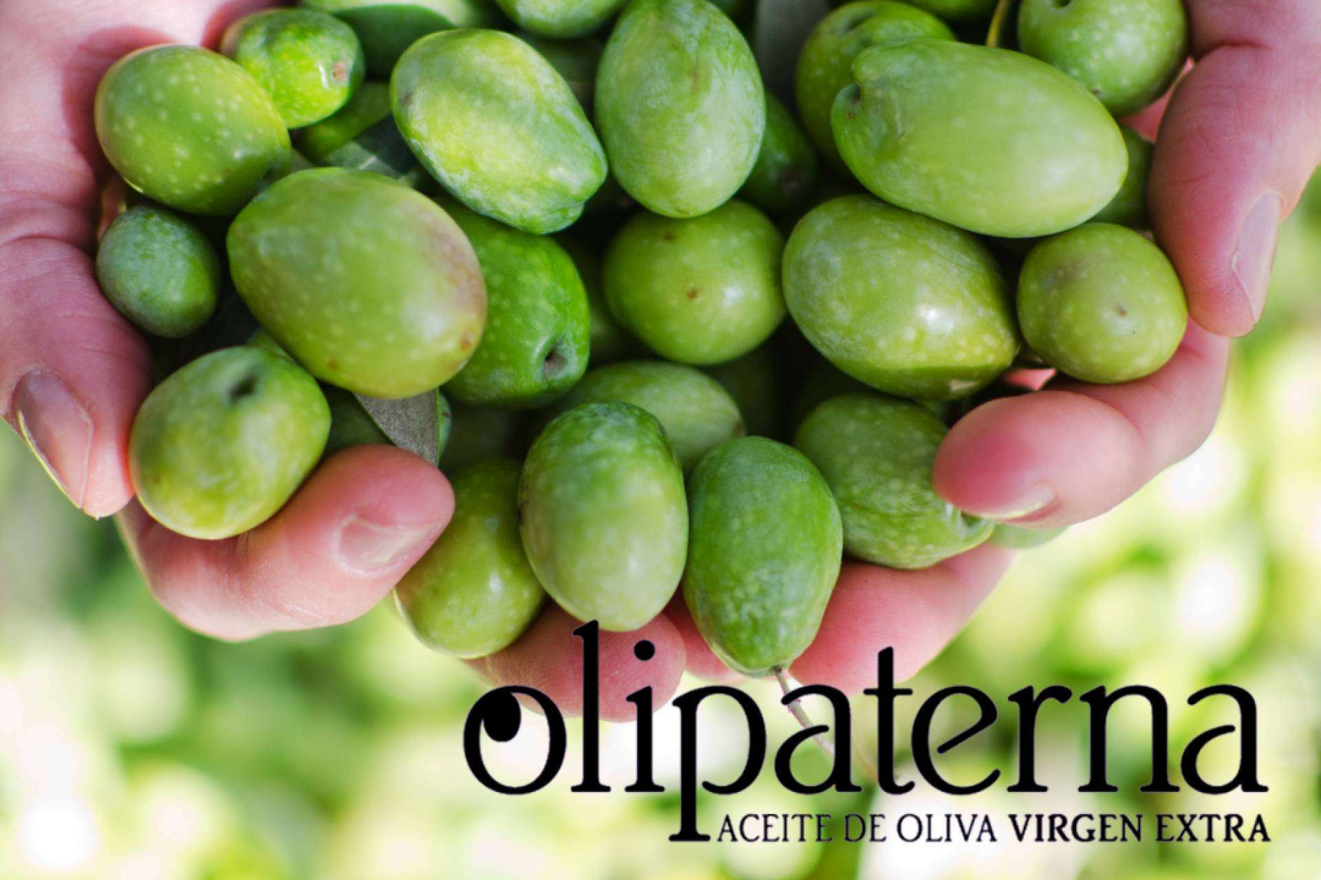 Con el AOVE de Olipaterna, las recetas saben mejor