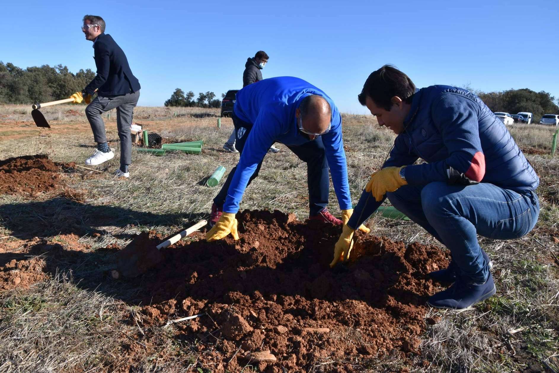 Beneficios que aportan los planes de RSC medioambientales, la plantación de árboles y apadrinamiento de bosques