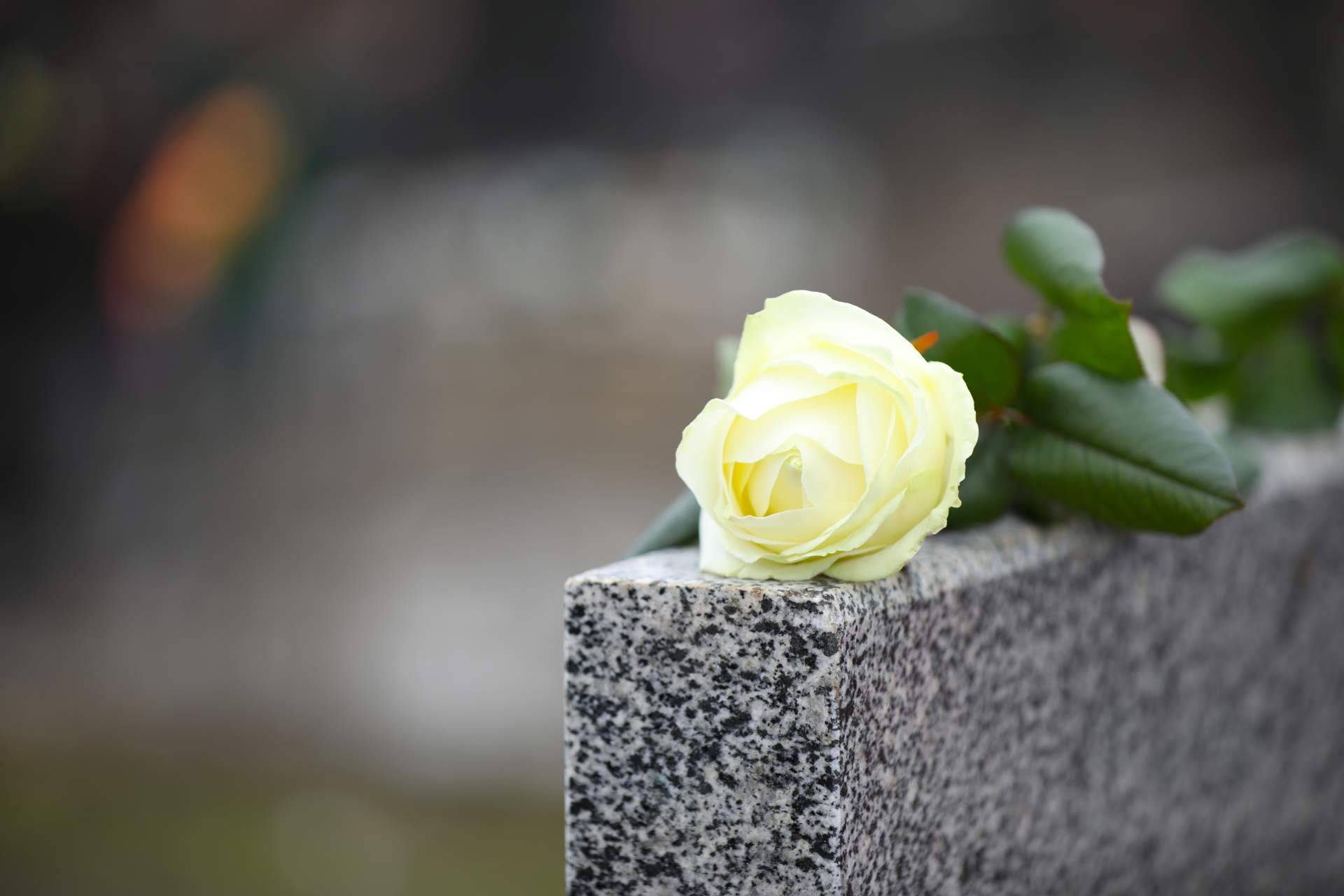 Durante el Día de Todos los Santos crece el interés por las flores para el cementerio en un 800 %