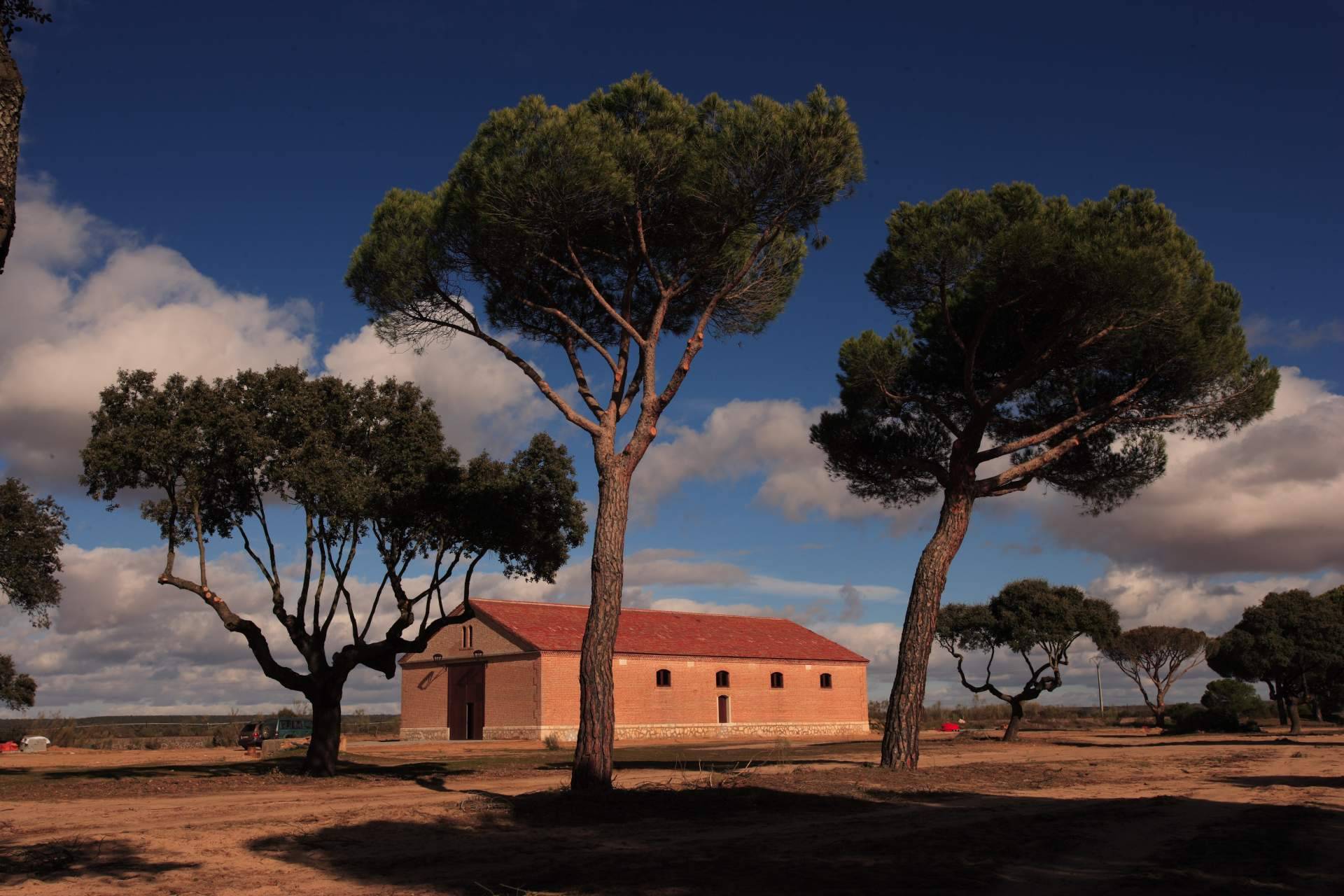 Los 5 vinos de reserva natural que no pueden faltar en la mesa, por Barcolobo
