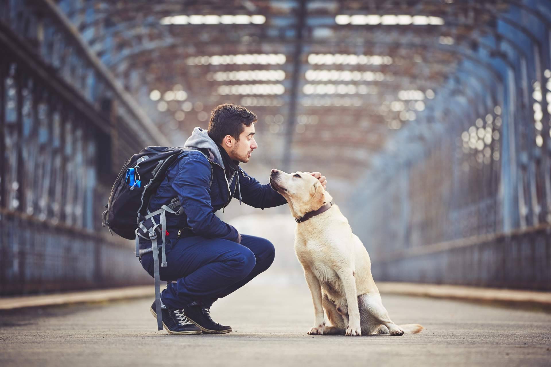 Coverontrip incide en la importancia de contar con un seguro de viaje para mascotas