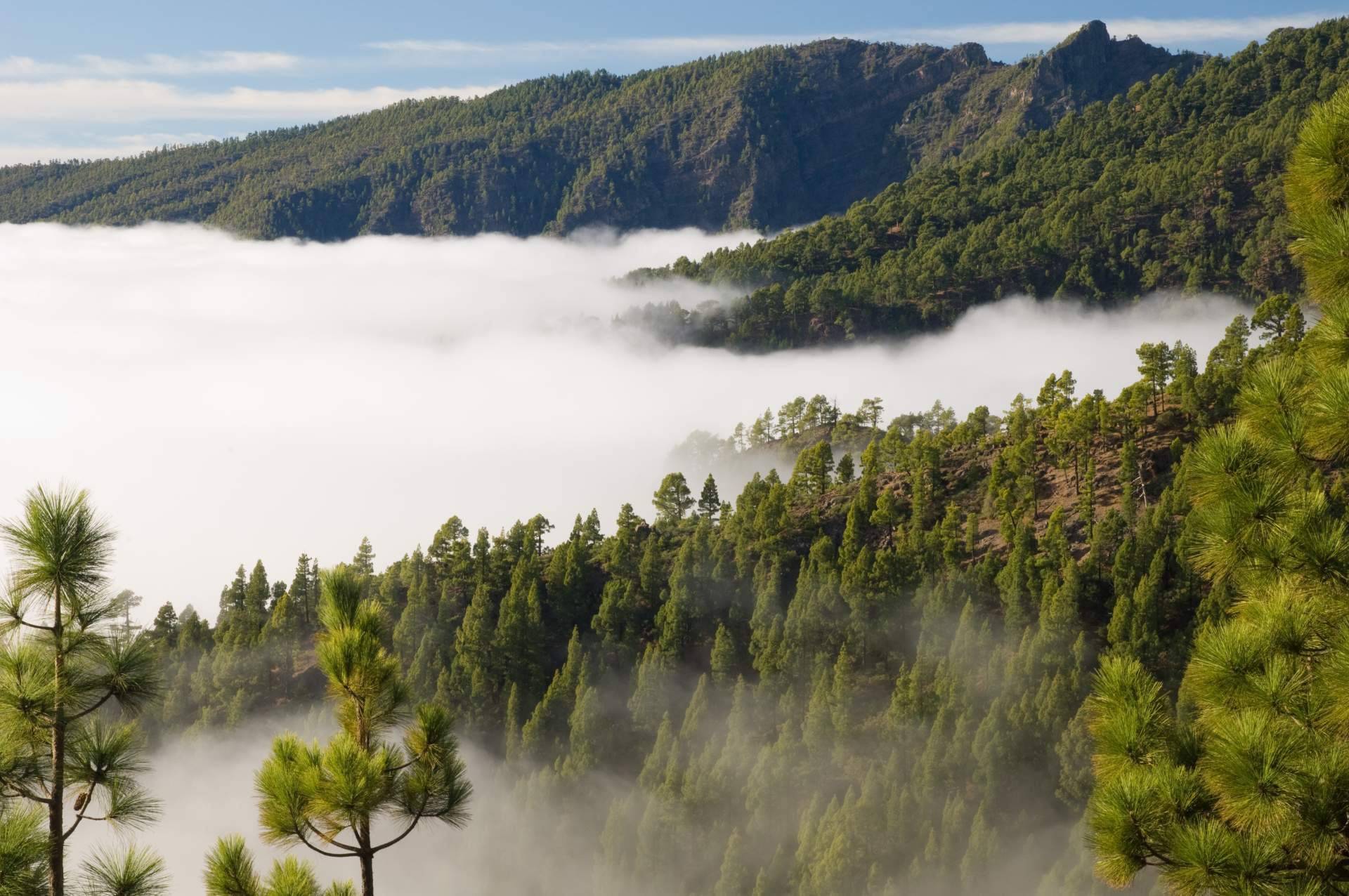 Canarias.com ayuda a organizar un viaje a Canarias con experiencias inolvidables
