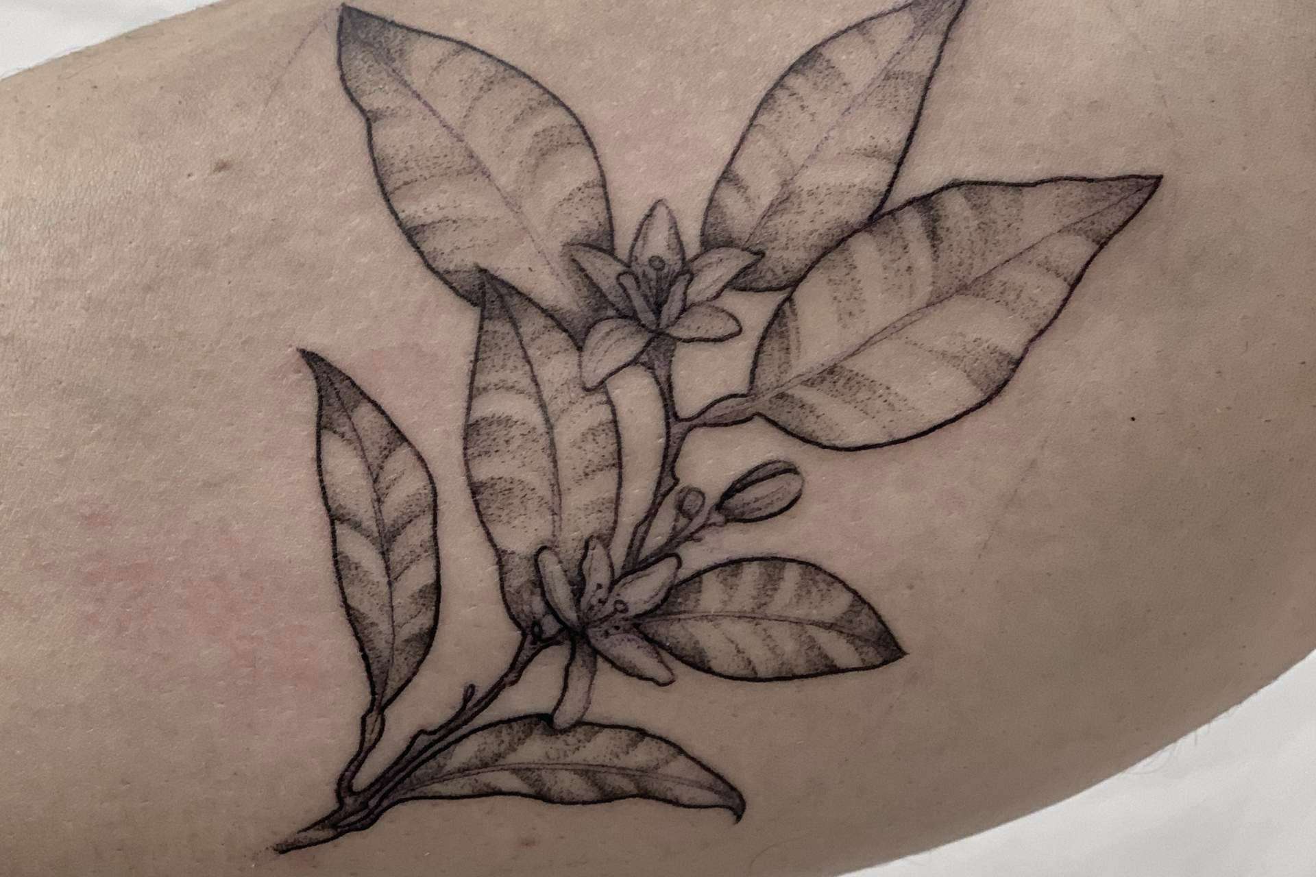 Tatuajes a línea fina, una tendencia disponible en el estudio de Vieja Escuela Tattoo
