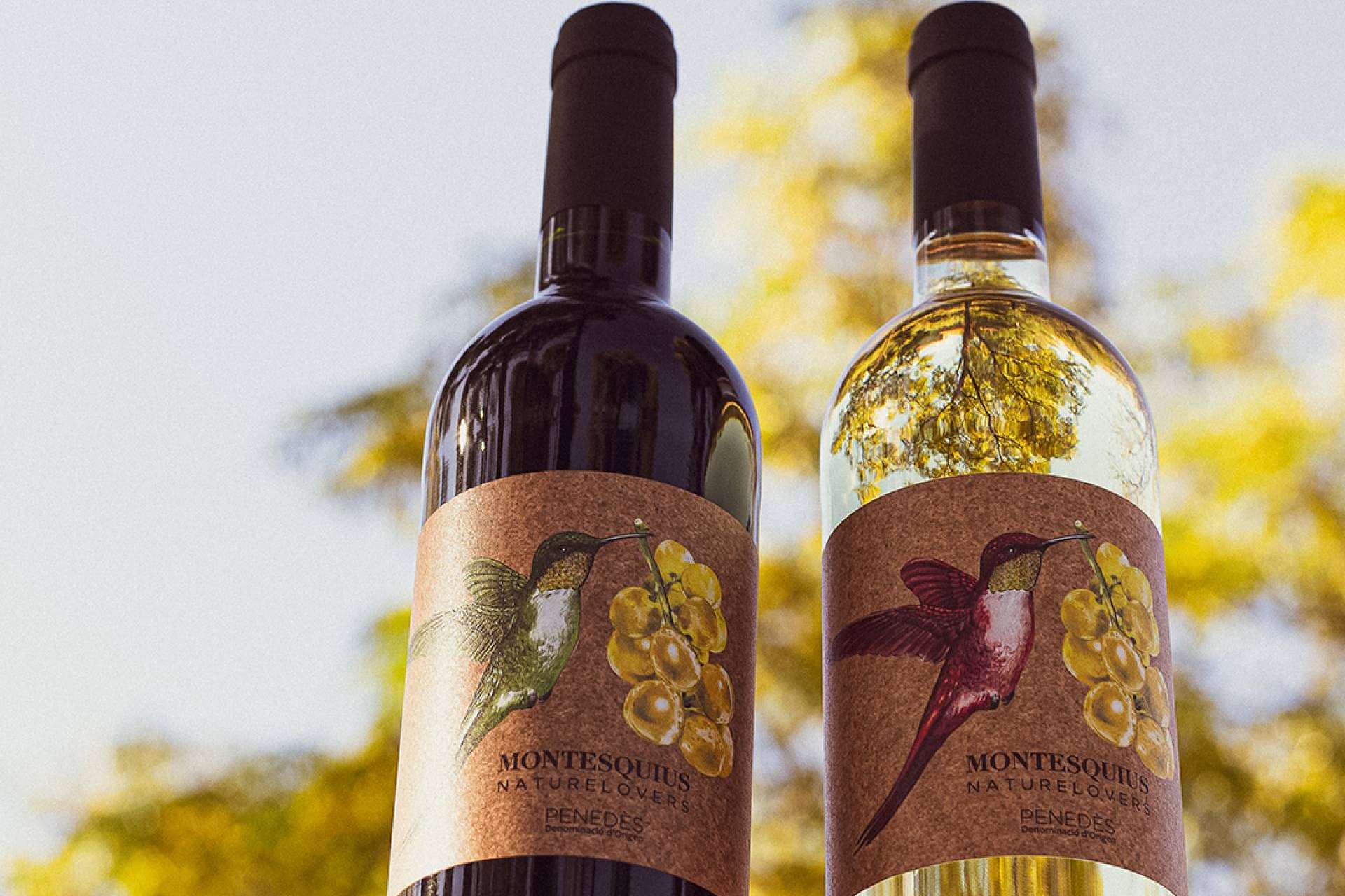 Un amplio catálogo de vinos en la web de Naturelovers Wines