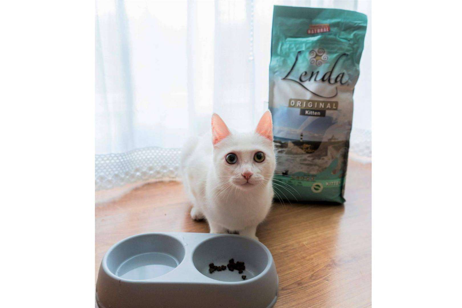 Cuidar de la salud de los gatos con Lenda Kitten, de Lenda