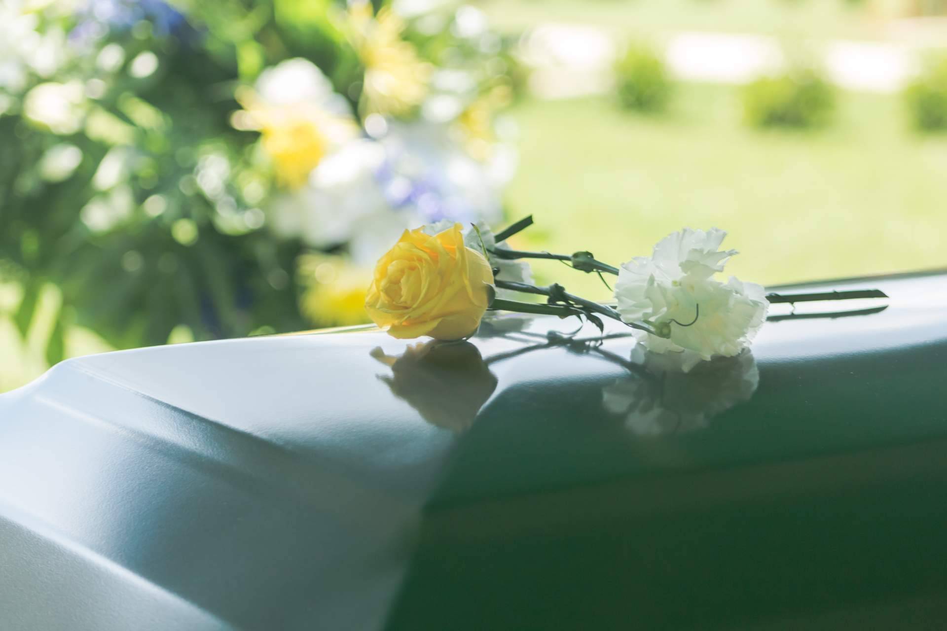 La sostenibilidad llega al sector funerario, así es como se están adaptando las empresas