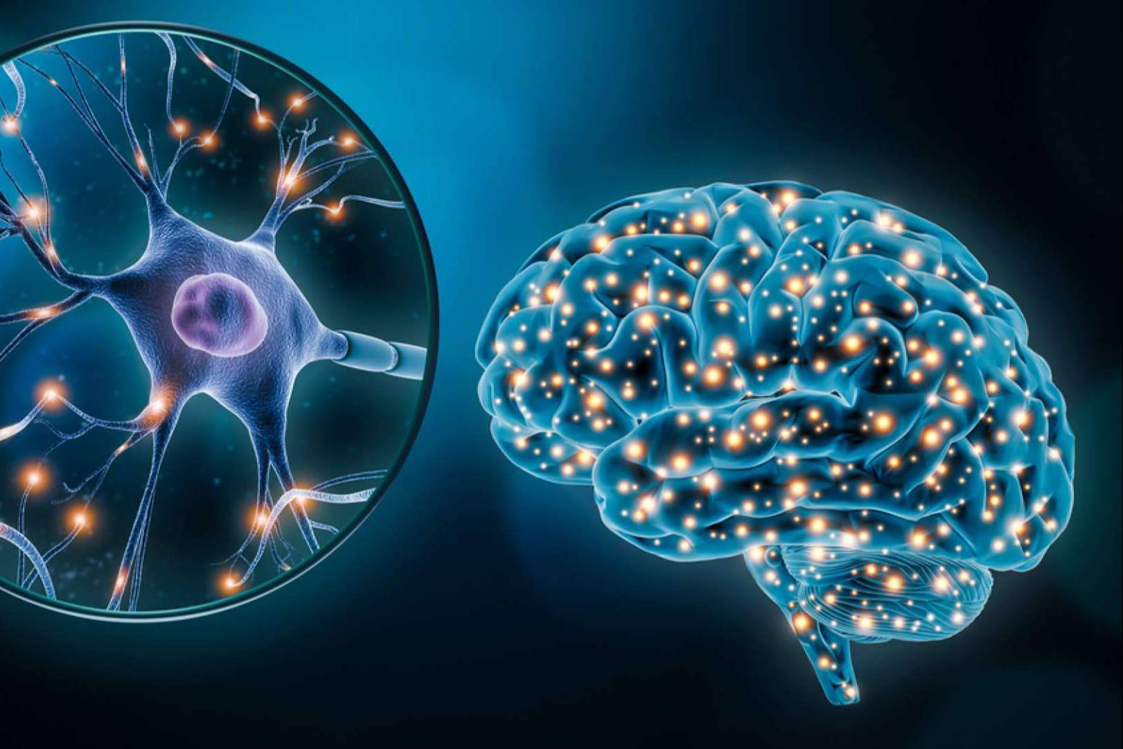 INIMA Rehabilitación enseña por qué es importante la estimulación cognitiva