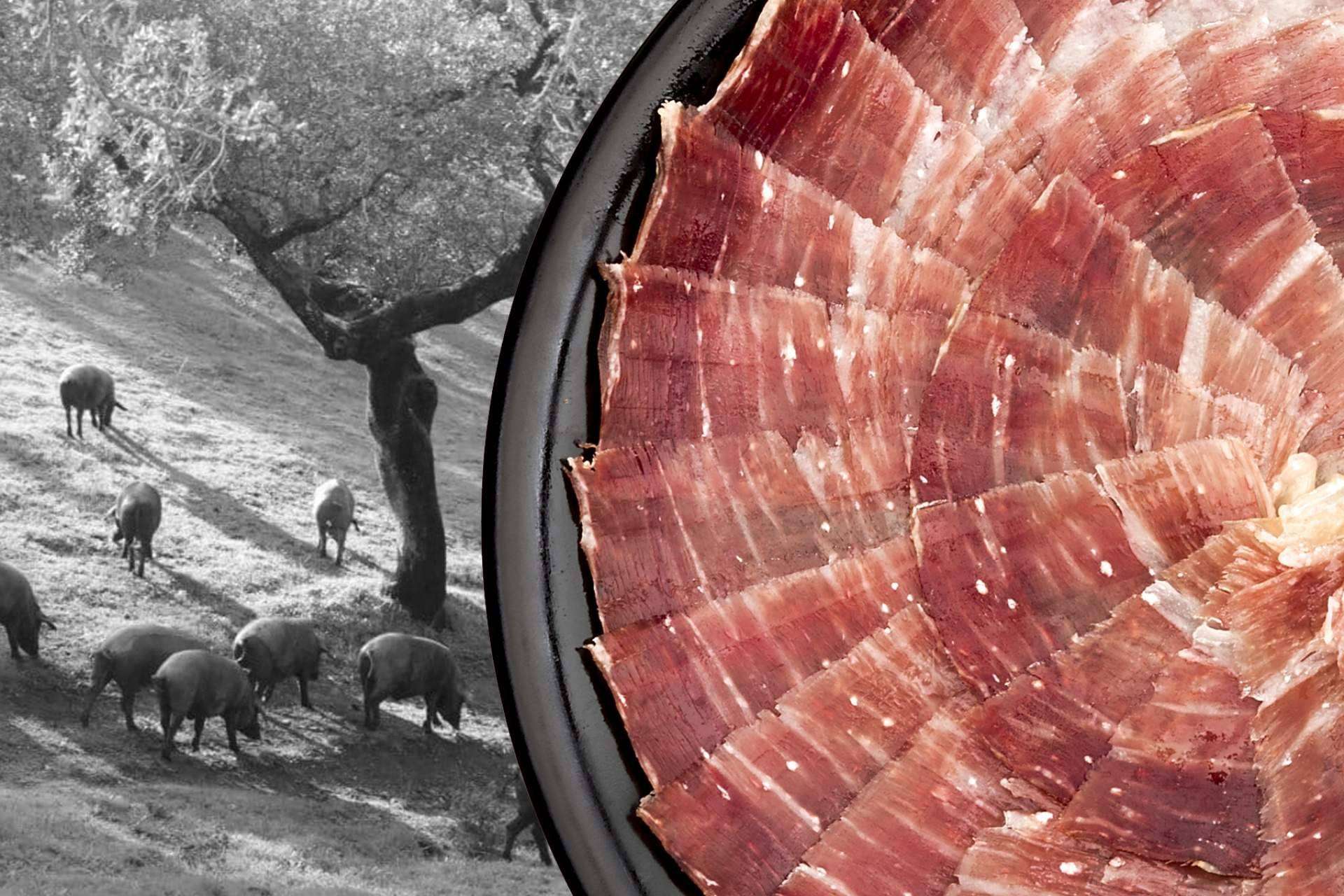 La empresa galardonada por la calidad de su jamón ibérico, Segundín