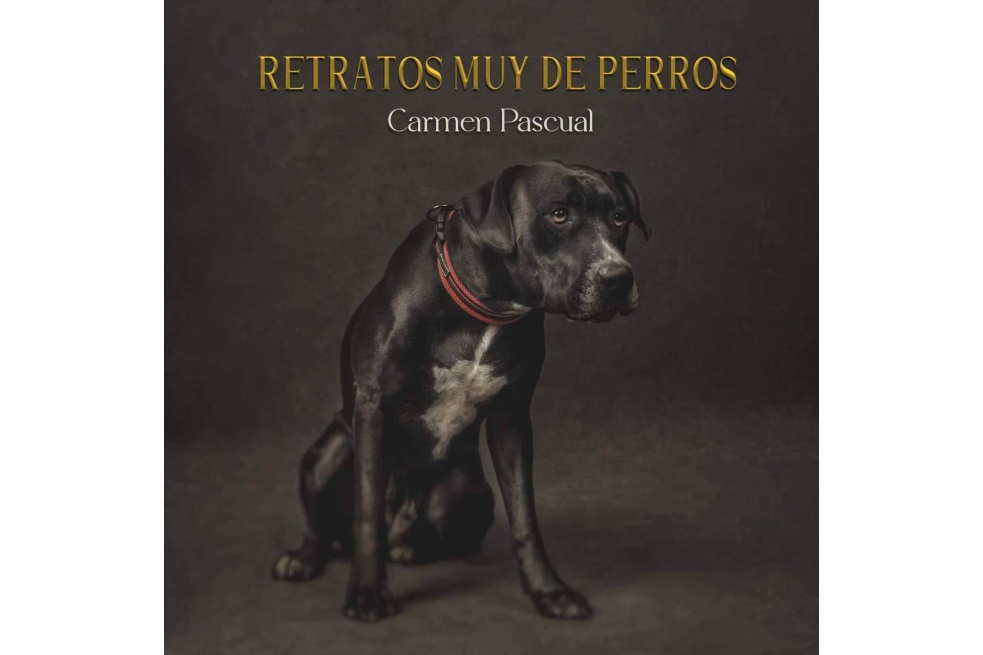 La obra de Carmen Pascual, 'Retratos muy de perros', editada por Libros y Literatura