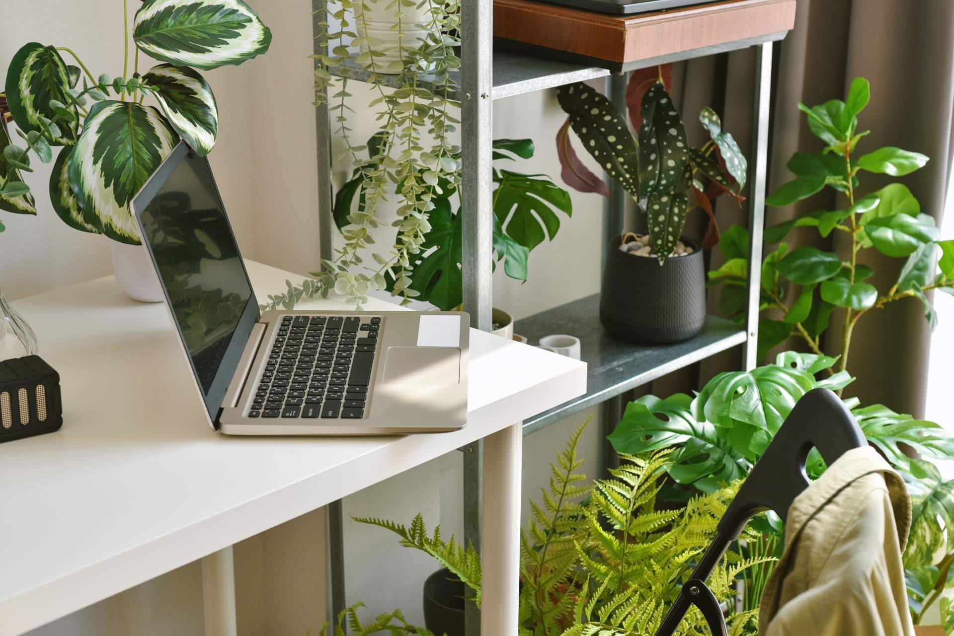 Elegir un jardín vertical artificial es la última tendencia en JardínVertical.es