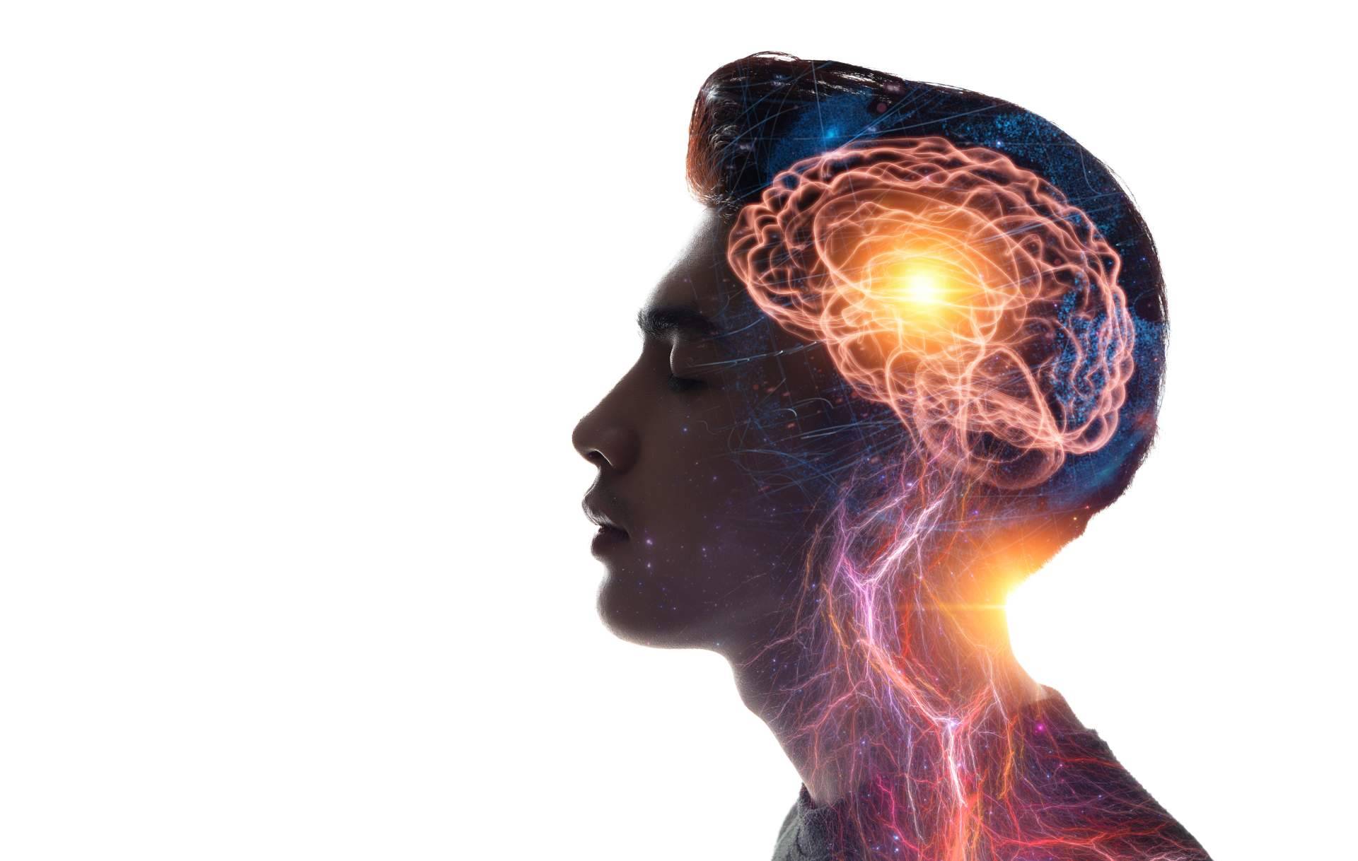 Favorecer la plasticidad cerebral con los productos de Store Naturopatía