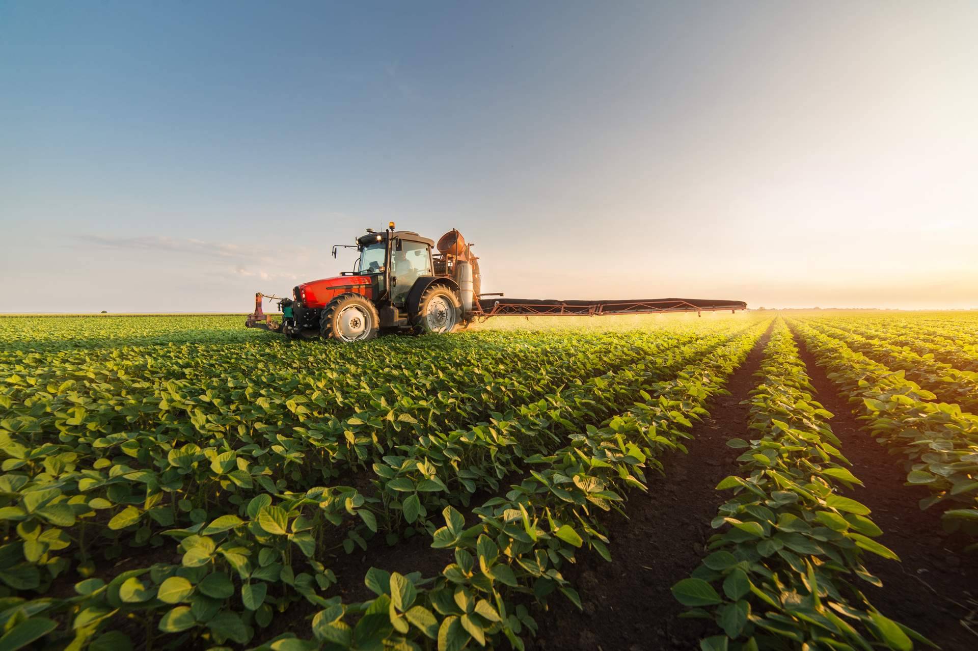 Buscar eficiencia en las explotaciones agropecuarias; la economía colaborativa es una solución