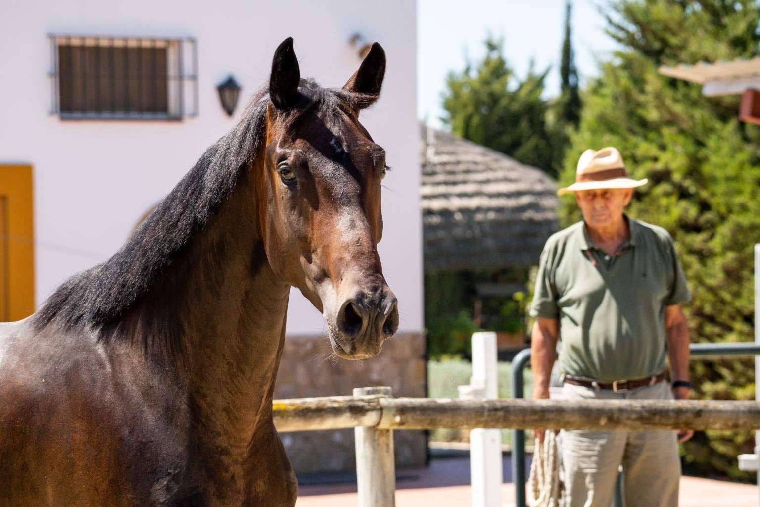 Yeguada Encinasola es el centro en el que es posible cuidar de la salud tanto de jinetes como de caballos