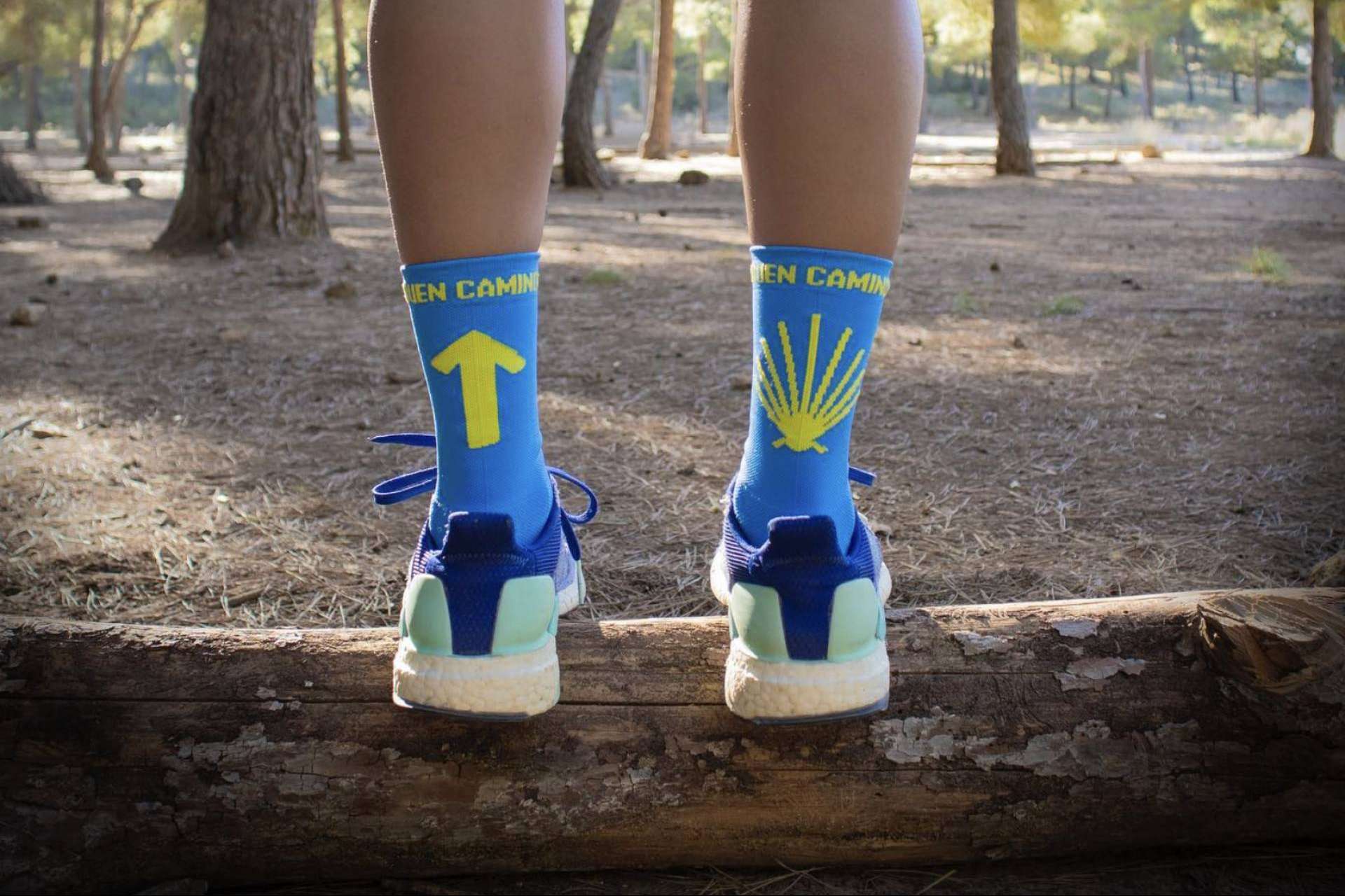 Recorrer el Camino de Santiago con unos buenos calcetines