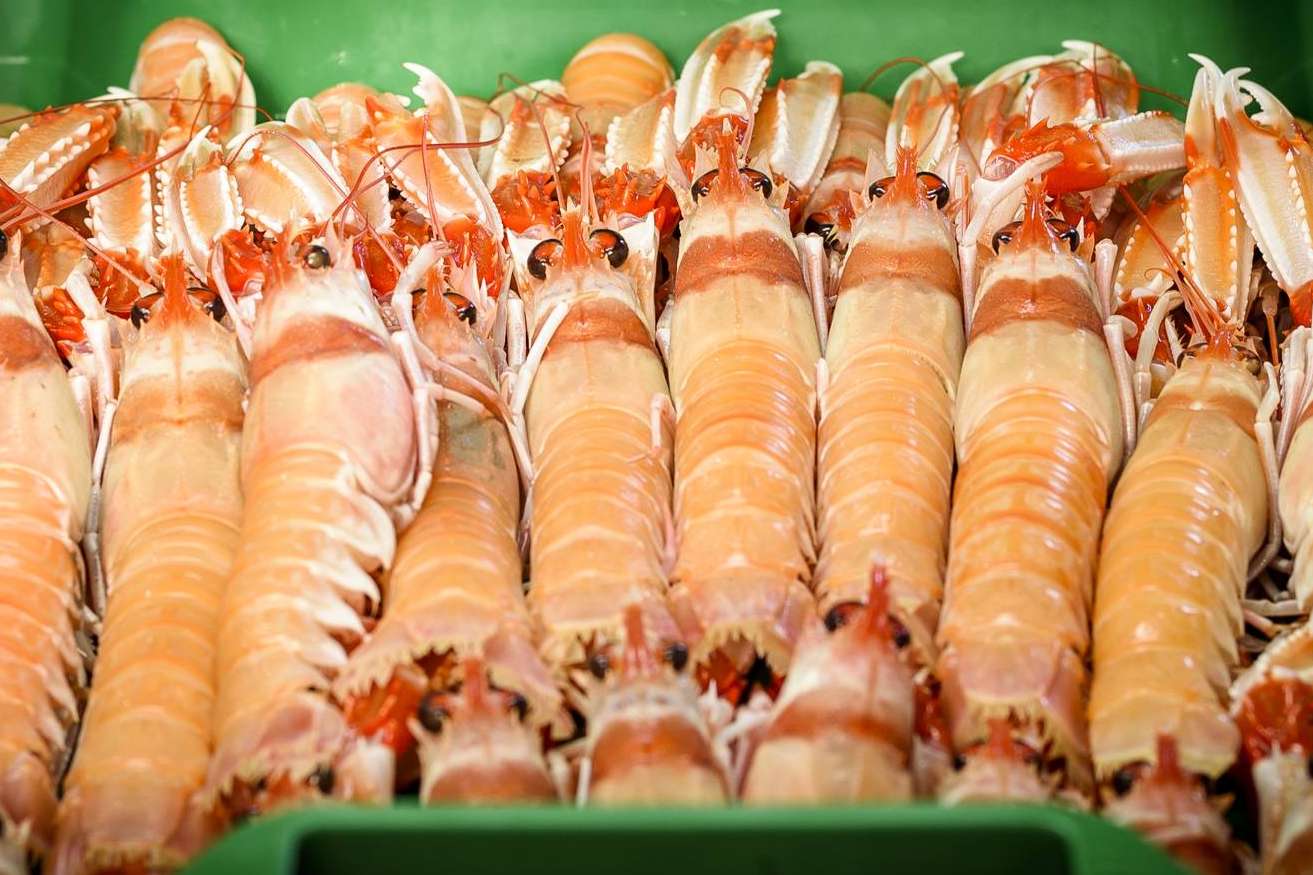 La tienda Lonja de Ayamonte expone los principales beneficios de consumir cigalas