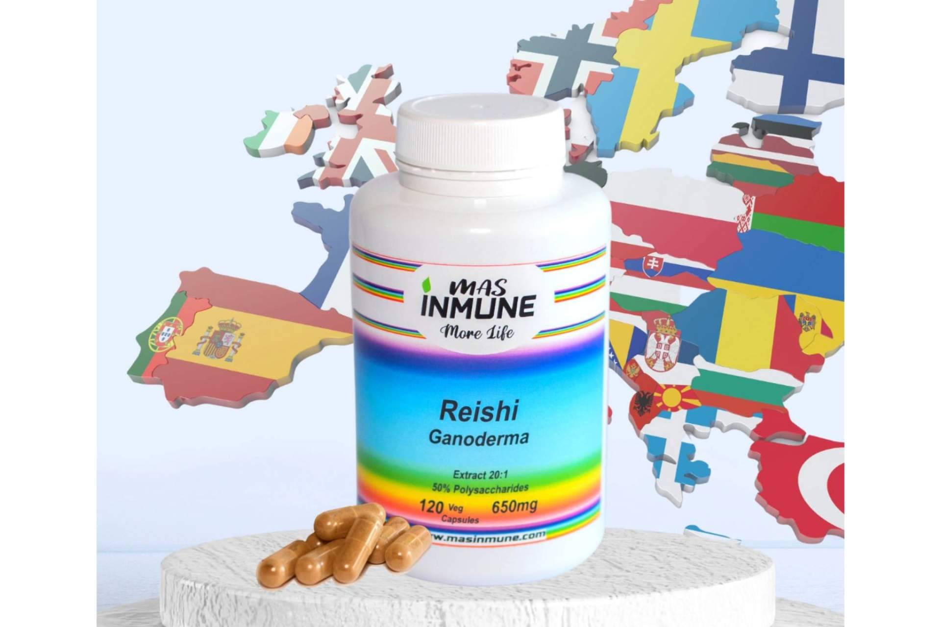 Masinmune produce uno de los mejores Reishi Ganoderma de Europa