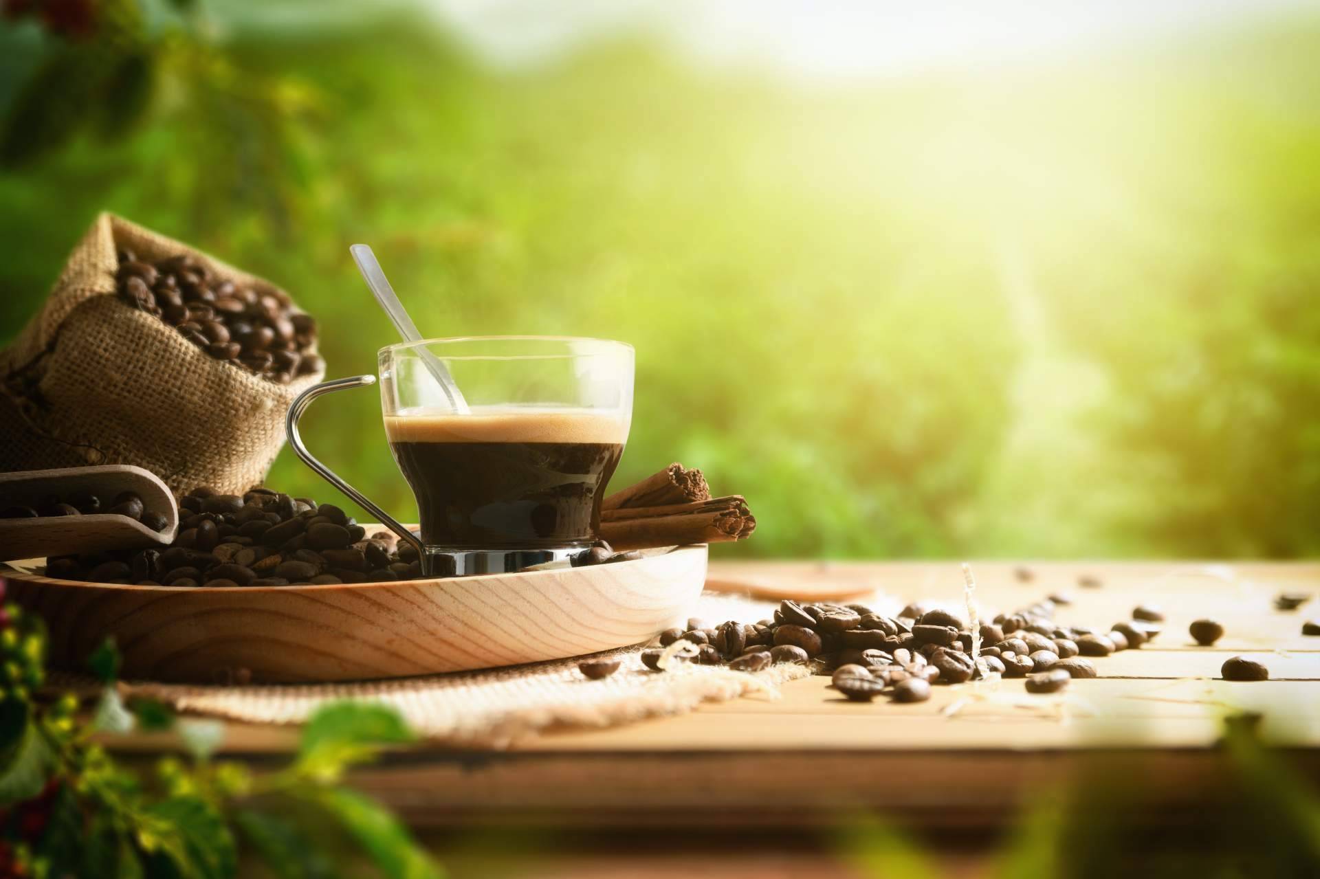Las variedades de café de origen que se pueden encontrar en Café Ciano