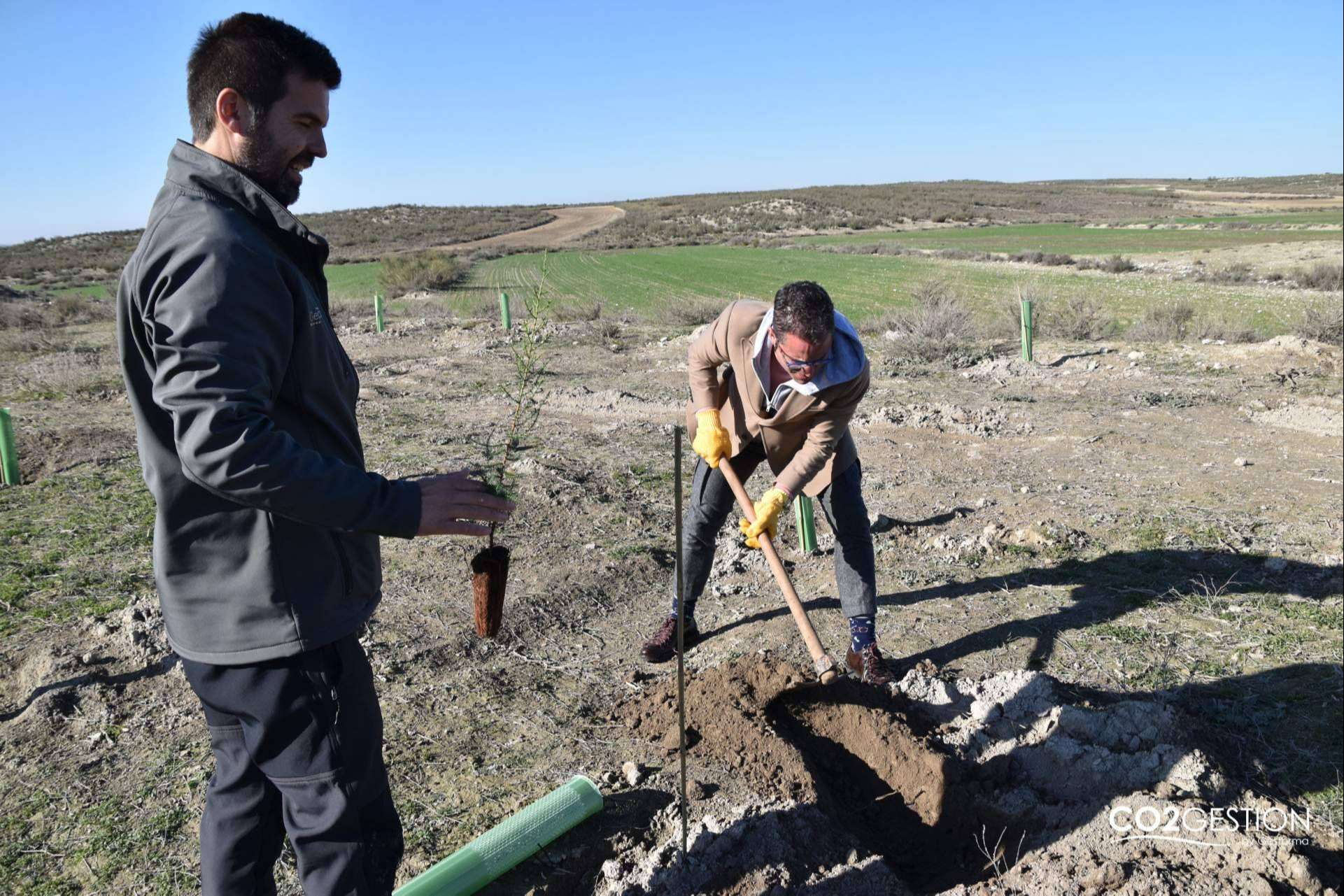 Fundación Alcoraz e ICT Ibérica crean un nuevo bosque en Zaragoza