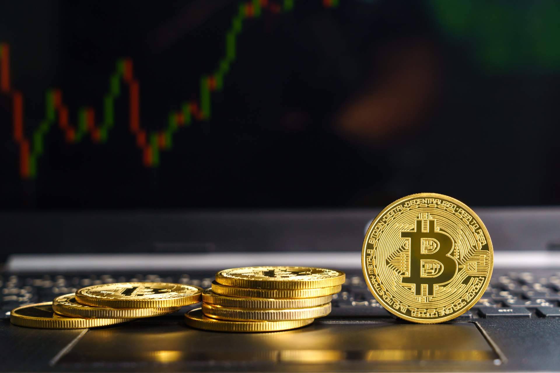 La formación que ofrecen los educadores financieros de Blockchain Sensei