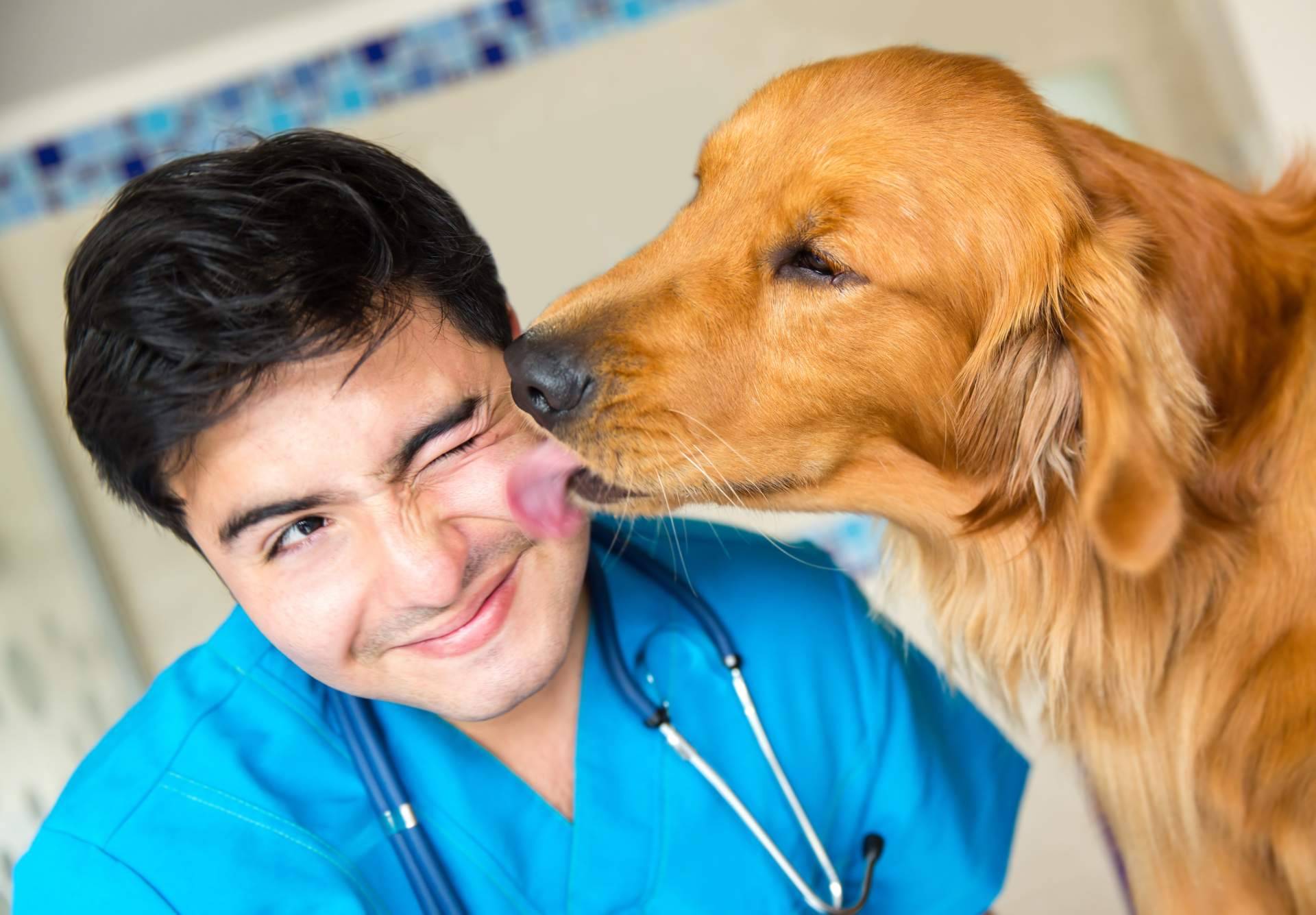 Vetformación explica cuánto tiempo dura un curso de auxiliar de veterinaria