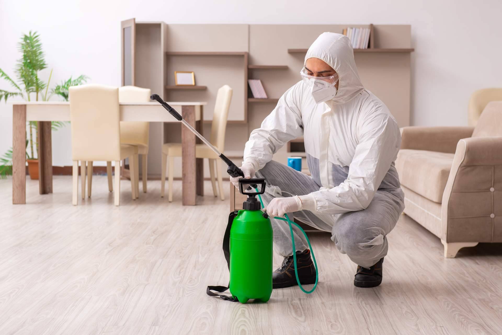 Productos Antiplagas dispone de diferentes trampas e insecticidas para avispas