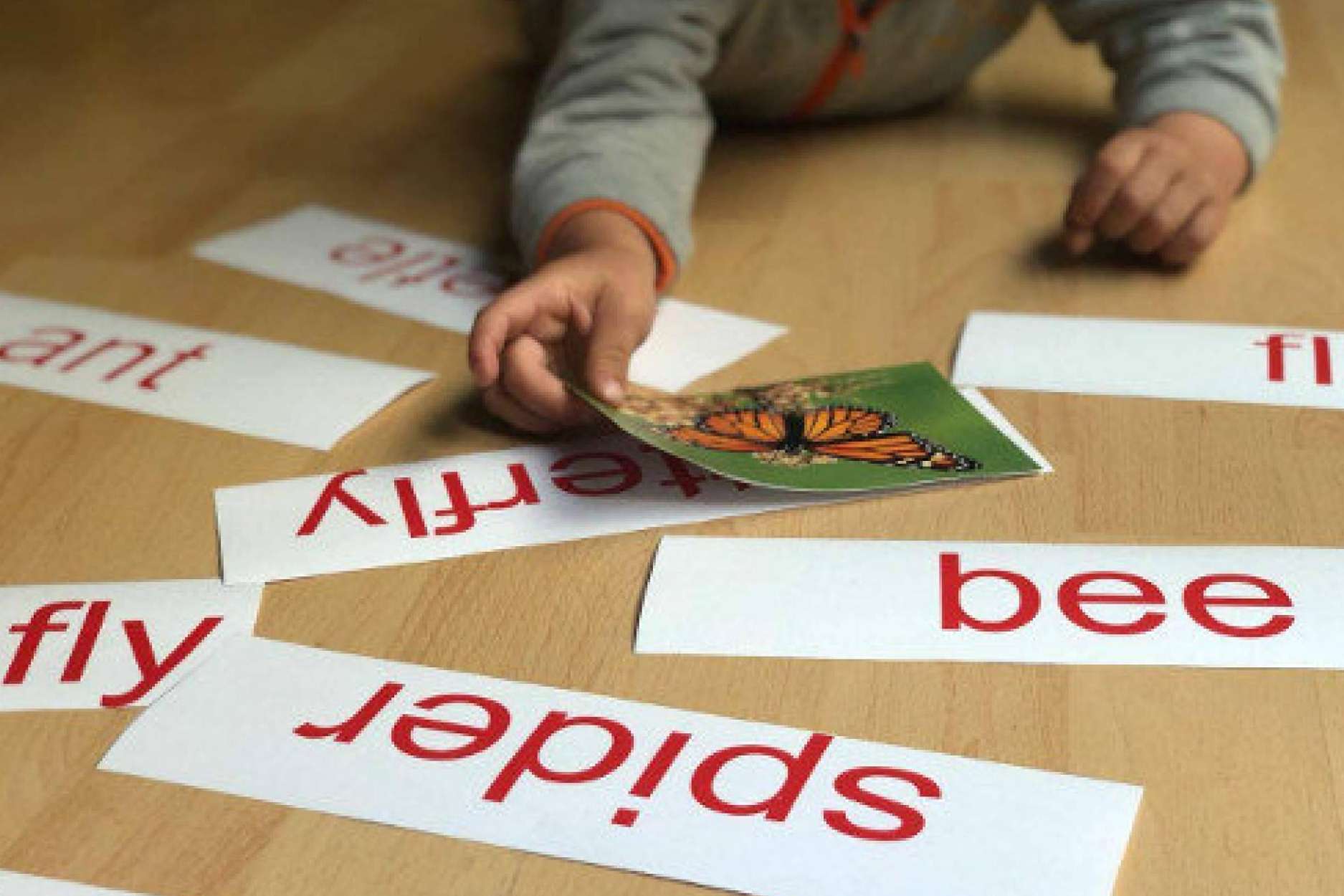 La escolarización temprana en el centro de educación infantil My House ubicado en Valencia, ¿por qué es importante?