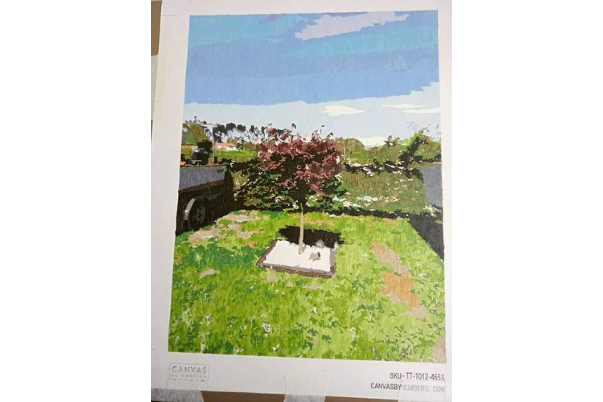 Canvas by Numbers, la solución para pintar como los grandes artistas