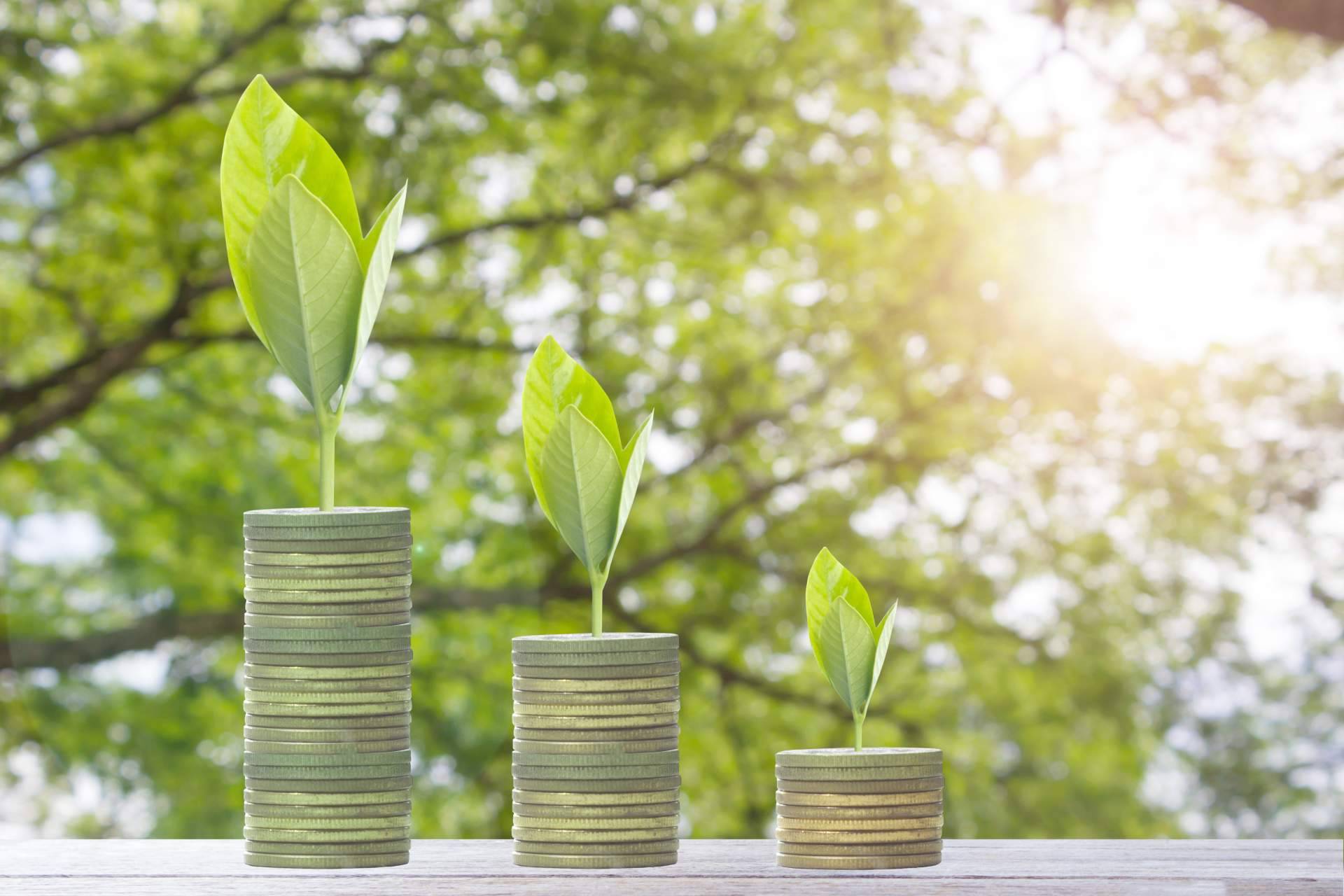 ¿Qué condiciones hay que seguir para retirar los recursos de la cuenta de AFORE?, por Rescata Tu Afore