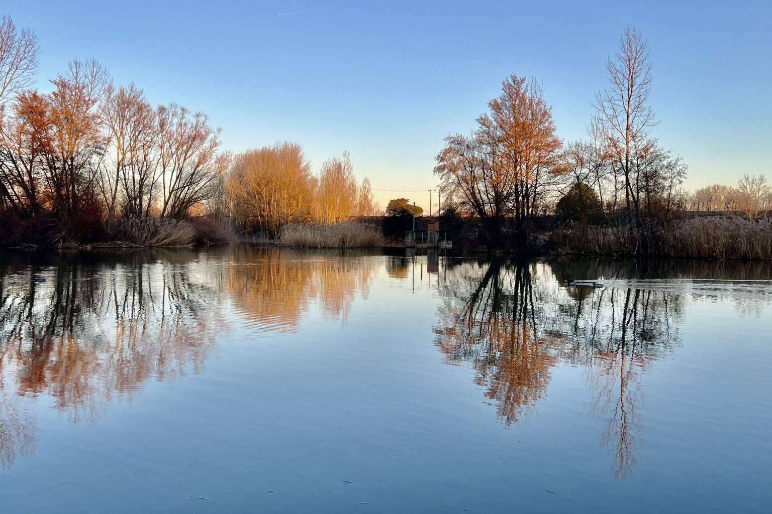 La Ren Lecres ofrece viajes en familia en espacios de diseño en la Ribera del Duero