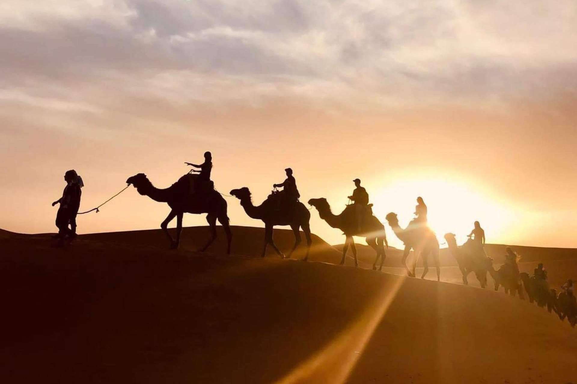Camel Trekking Tours ofrece excursiones en camello a las dunas de Erg Chebbi