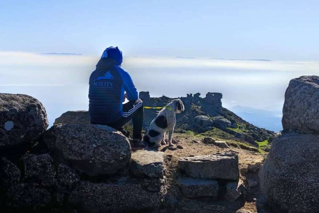 Nuevo curso de educación canina los sábados a partir del 11 de marzo, de la mano de l'Almozara Can Bosc