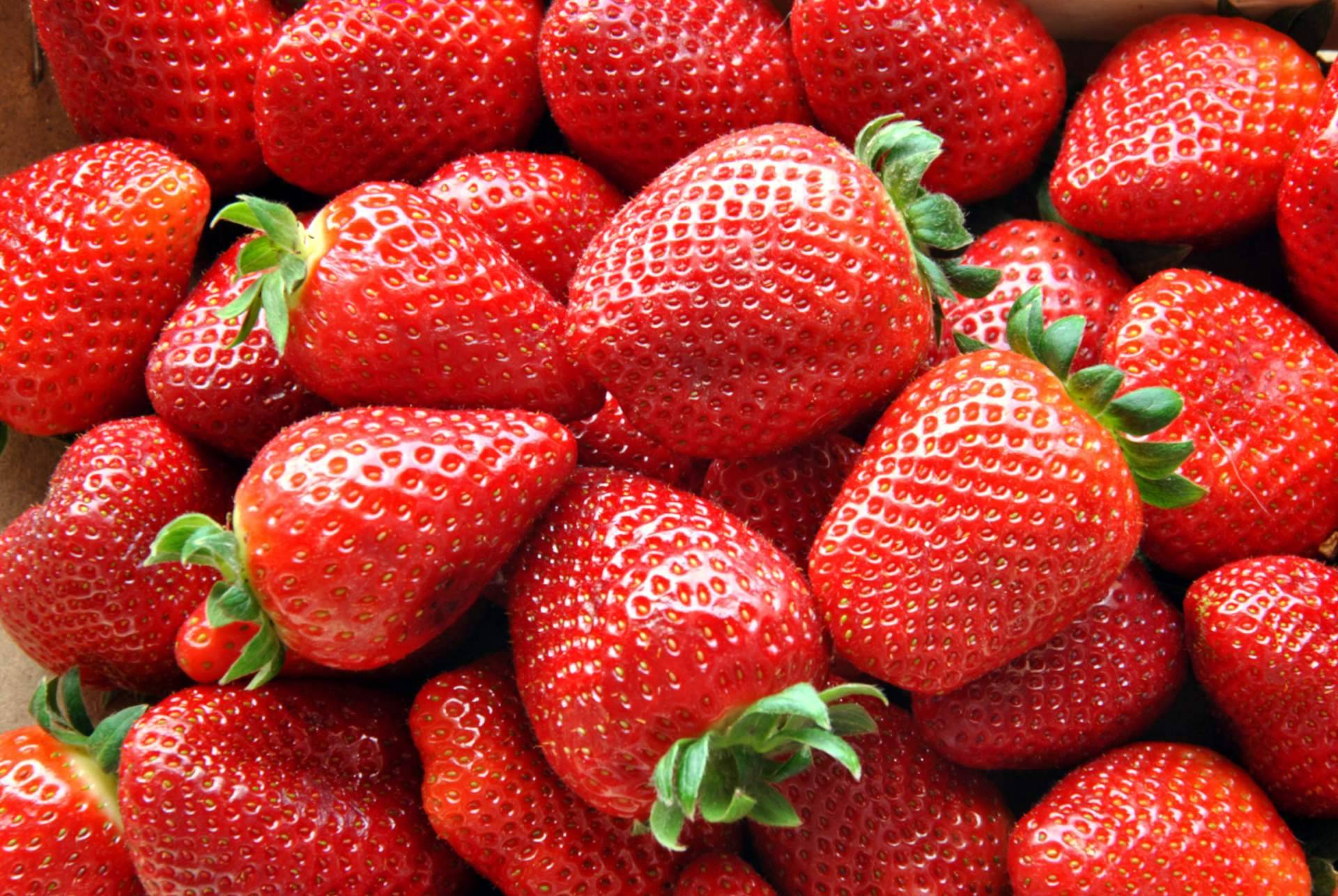 Disminuye la cosecha de fresa 2023 en España, por Baor Products