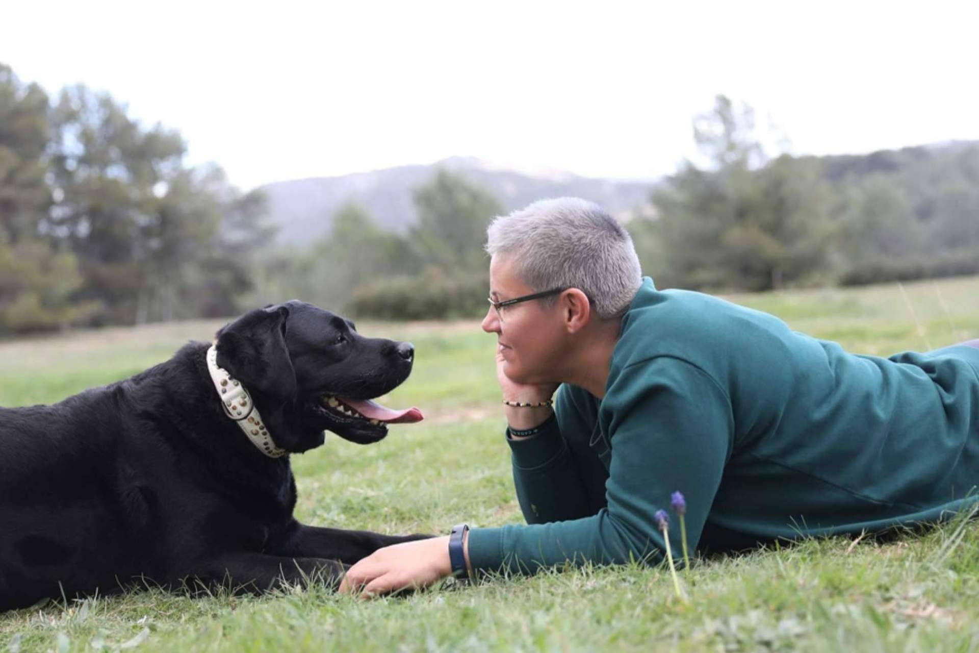 La relevancia de entender el lenguaje canino, por el Instituto Dog Coaching