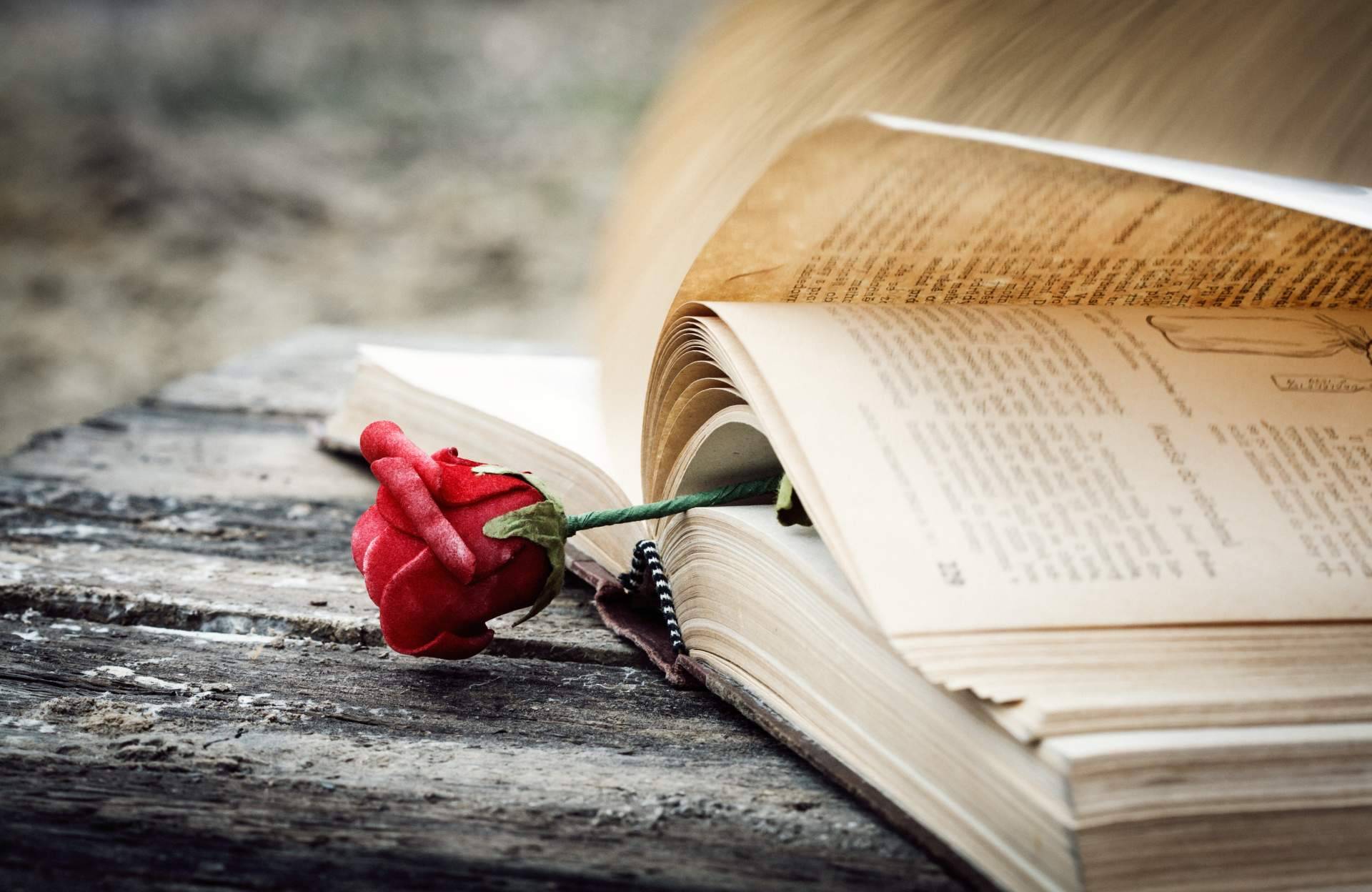 ¿Cómo nació la tradición catalana de las rosas y los libros de Sant Jordi?