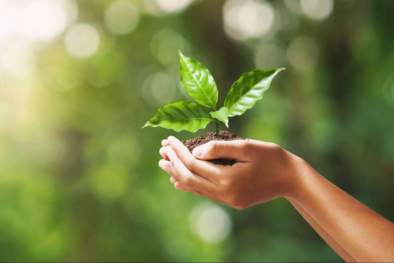 Multienergía Verde consolida su crecimiento y estrategia a largo plazo siendo empresa Cepyme 500 por tercer año