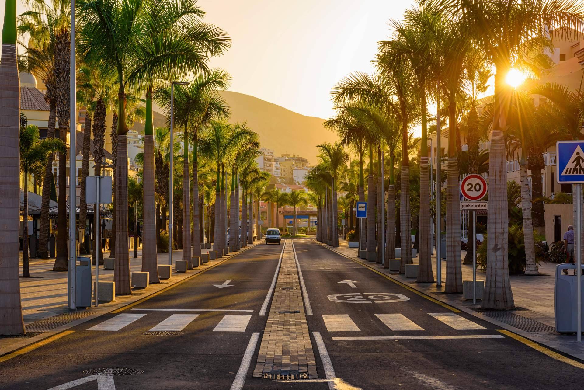 Alquiler de coches para visitar Tenerife en verano