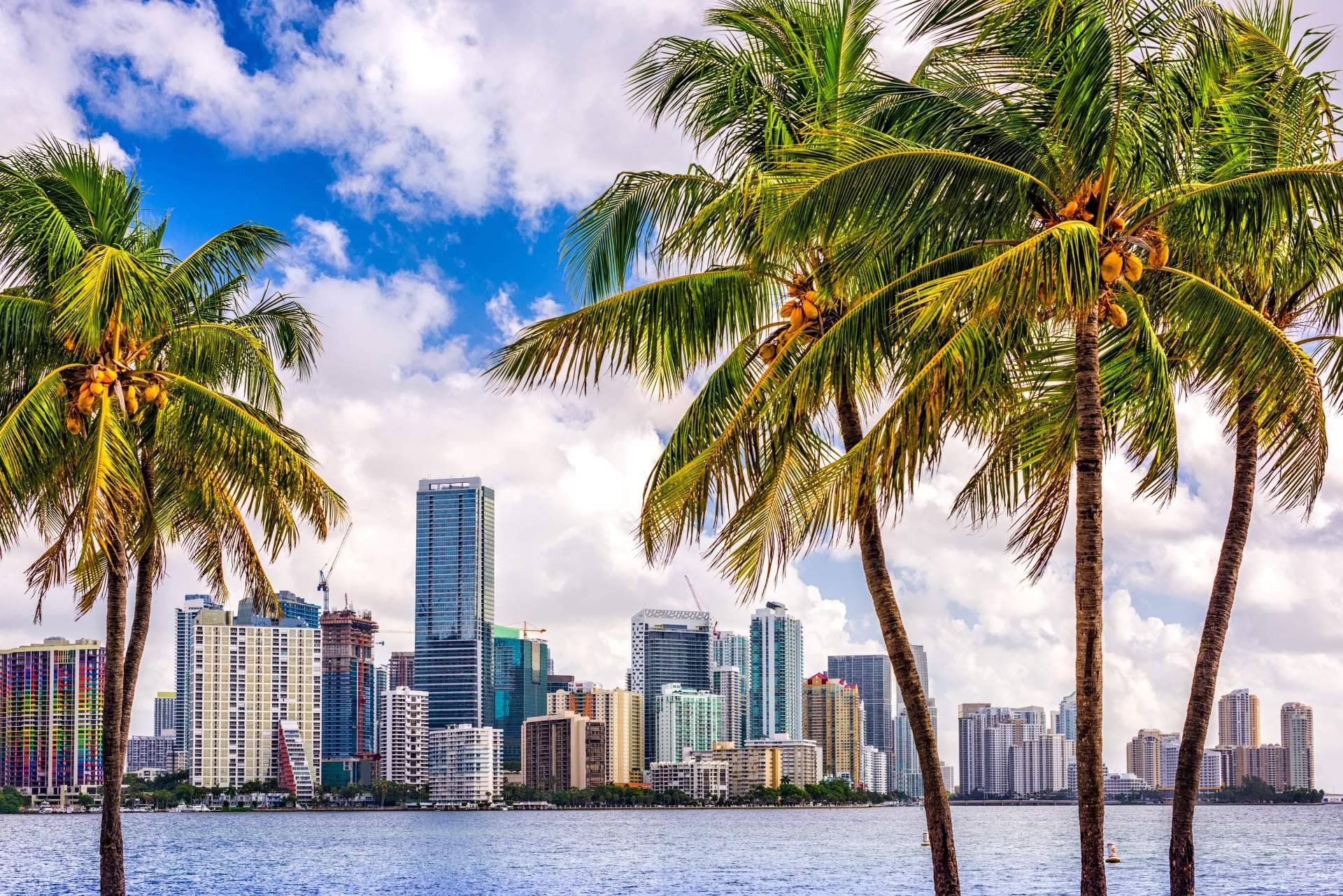 Por qué y dónde alquilar casas en Miami, con UTG Miami