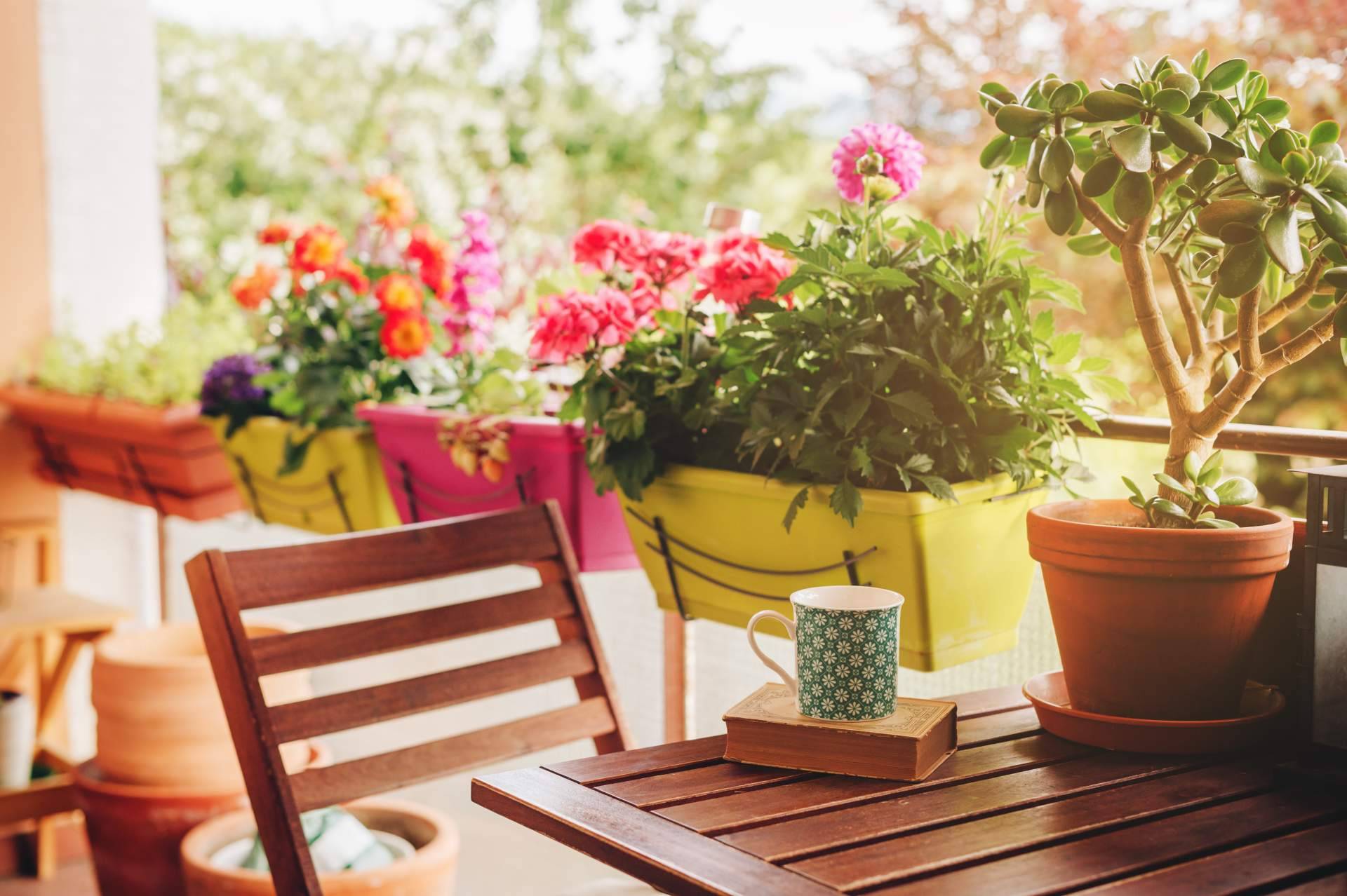 Dar una apariencia especial y única al hogar con los productos de decoración exterior de Hogar y Más