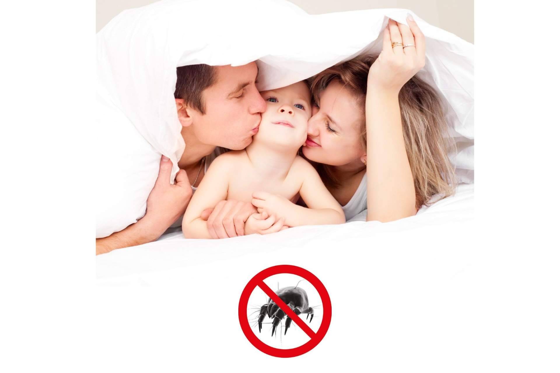 ¿Cómo eliminar los ácaros con Euroallergy.com?