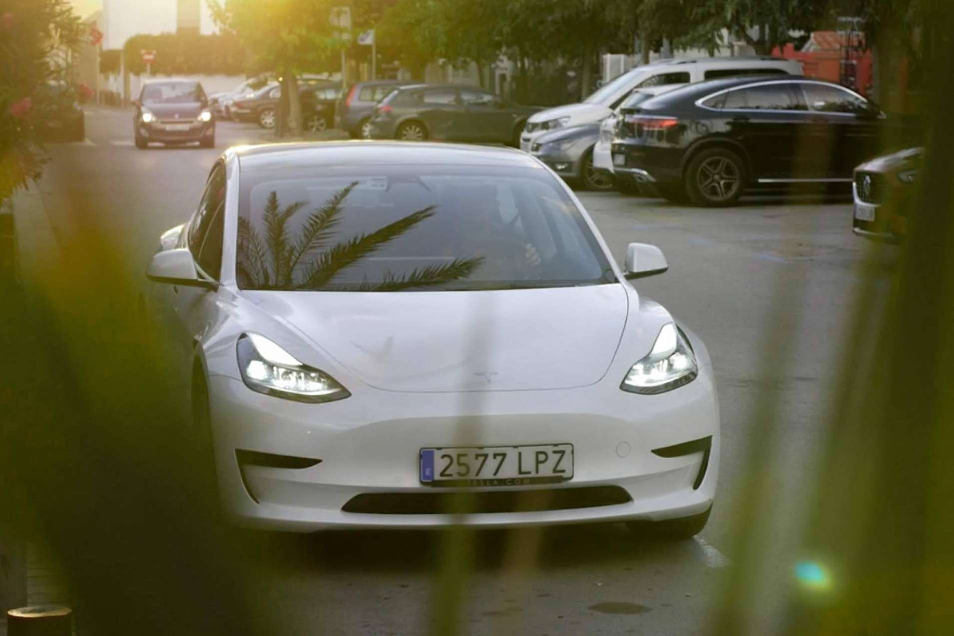La conducción eléctrica premium con flota Tesla que está revolucionando el mercado, Future Drive