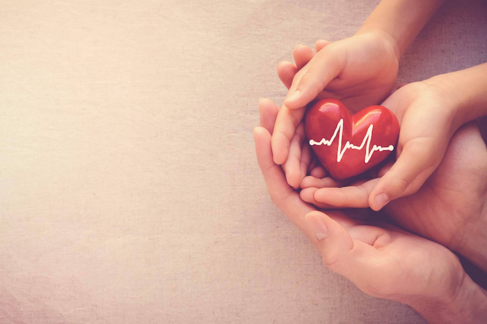Beneficios de los seguros de salud ofrecidos por Guadalajara Seguros