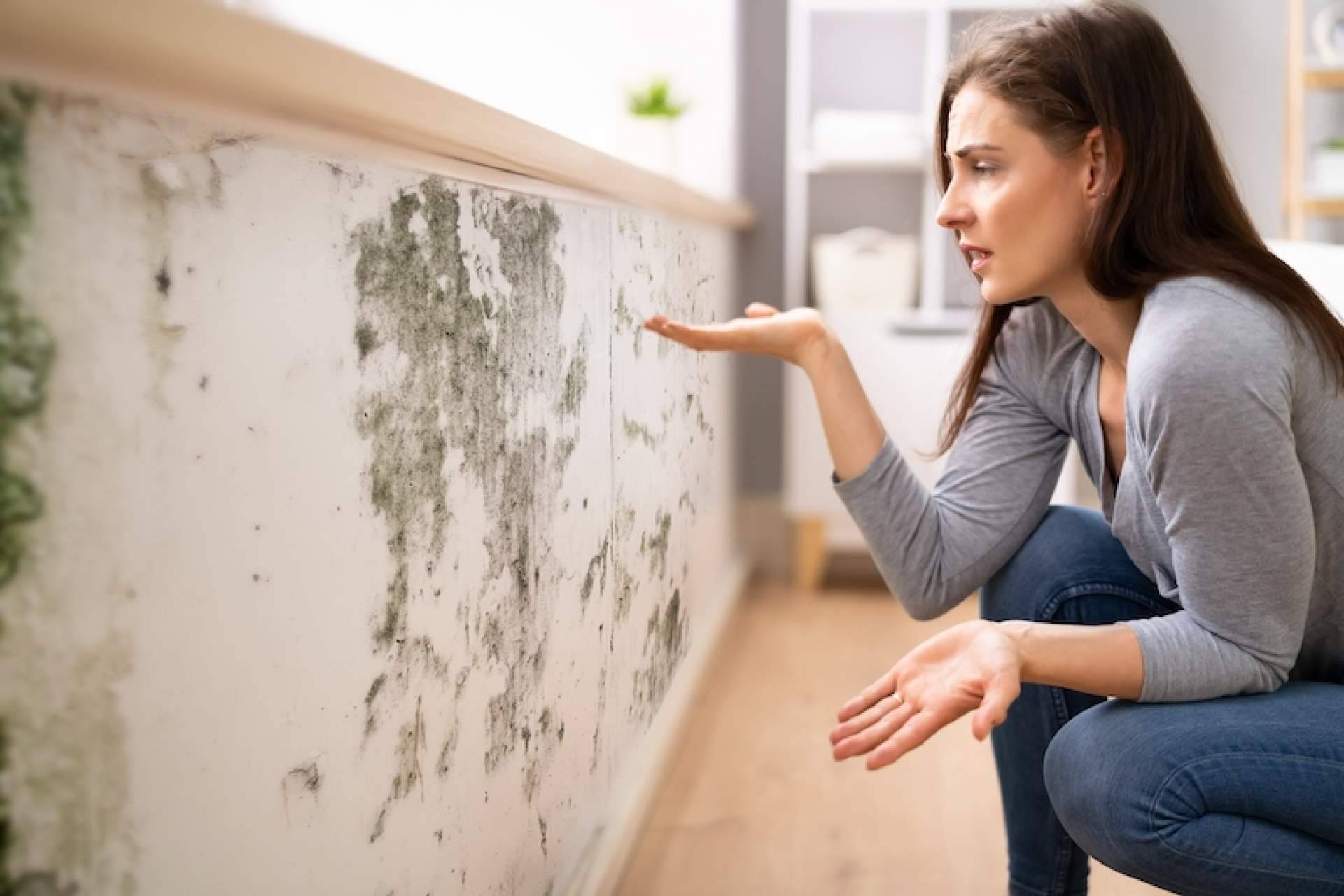 Encontrar soluciones a las humedades en casa con Humydry