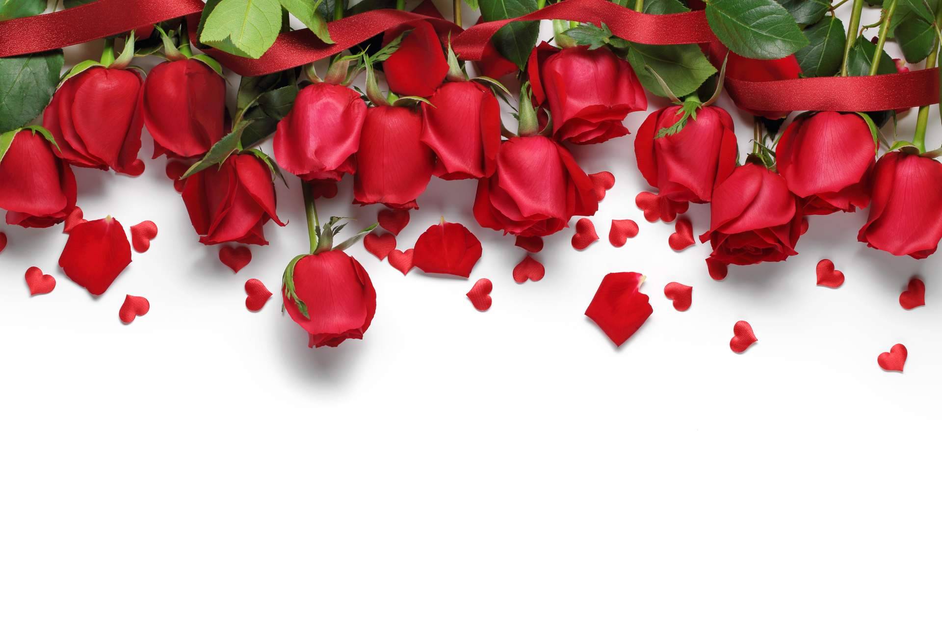 Regalar rosas amarillas y rojas de la mano de Rosistirem