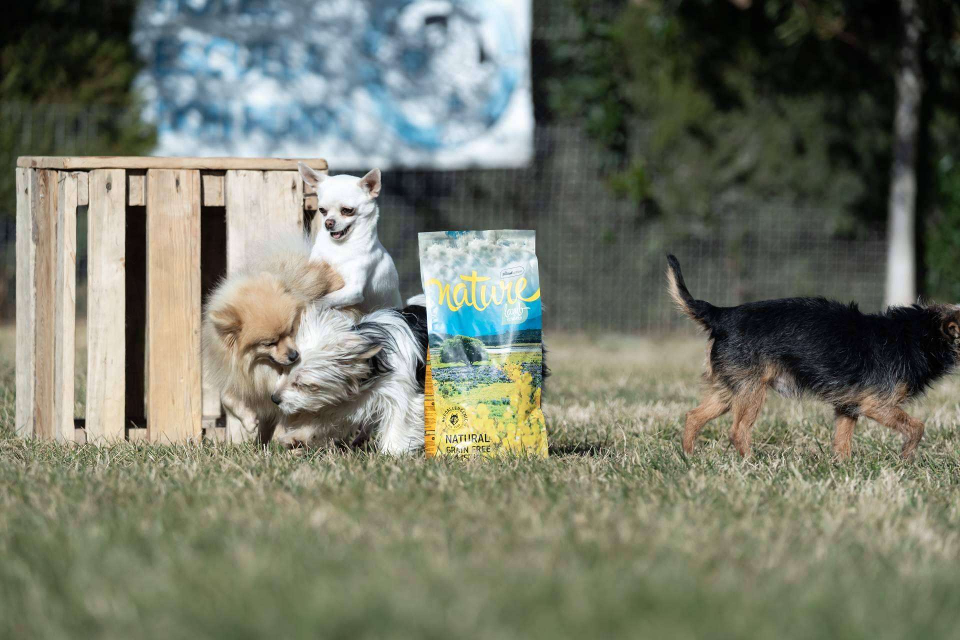 La gama Nature de Satisfaction ofrece pienso para perros sin cereales