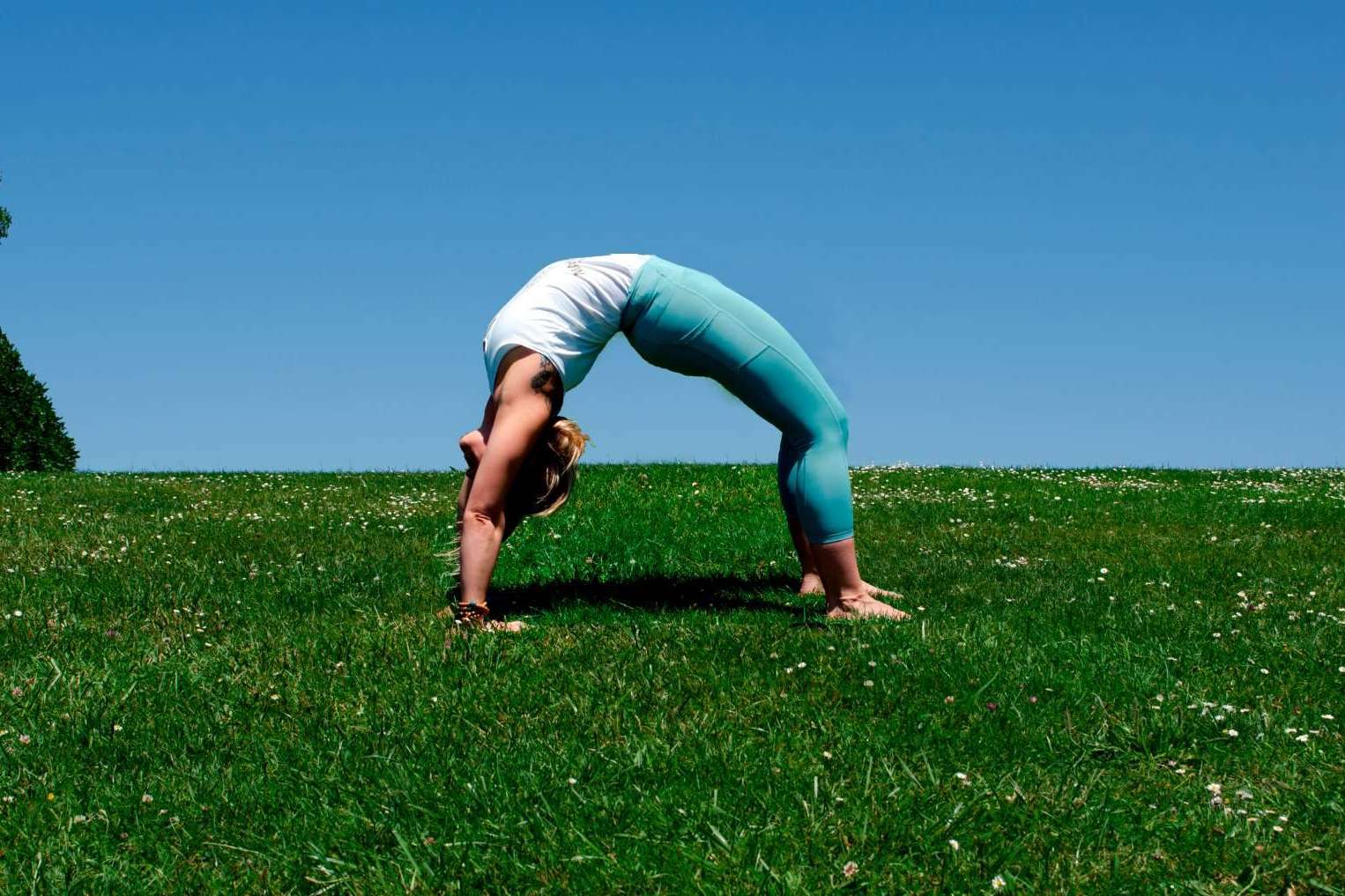 ¿Dónde acceder a formación de profesores de yoga integral y curso de actualización de profesores de yoga? Escuela Mahashakti