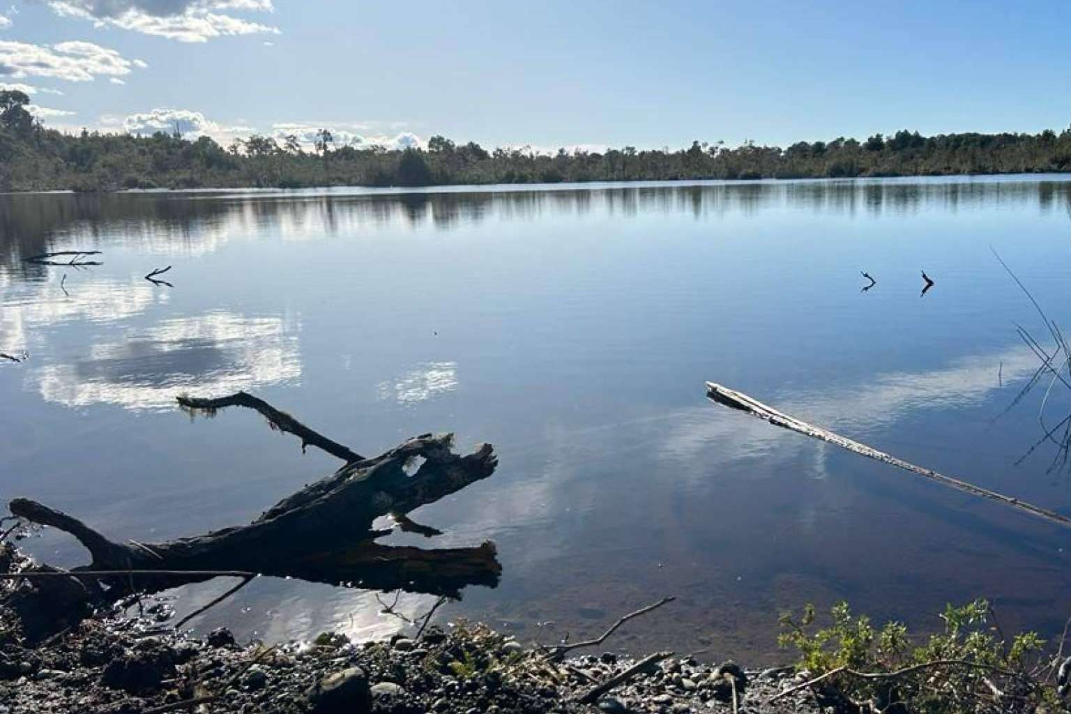 Terrenos en el sur de Chile gracias al proyecto Laguna Quemchi