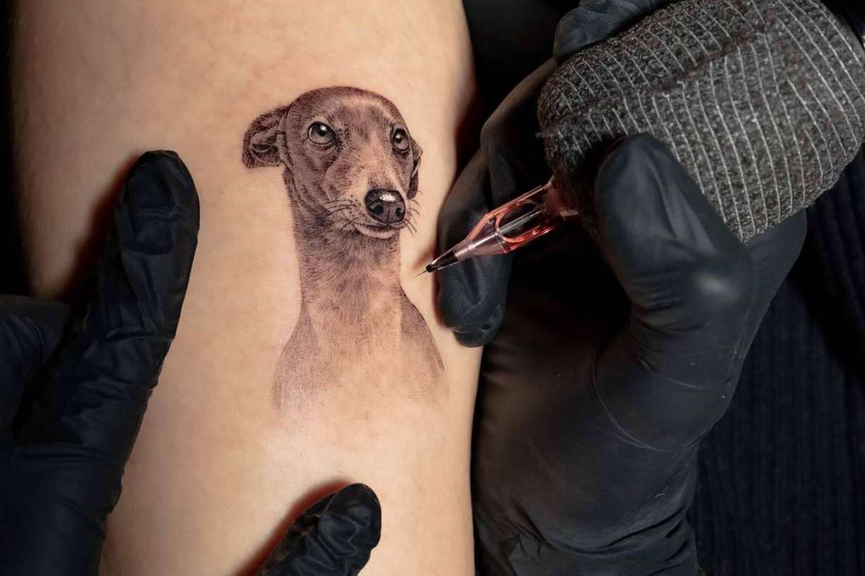 Aprender a tatuar de forma online, con Habbility
