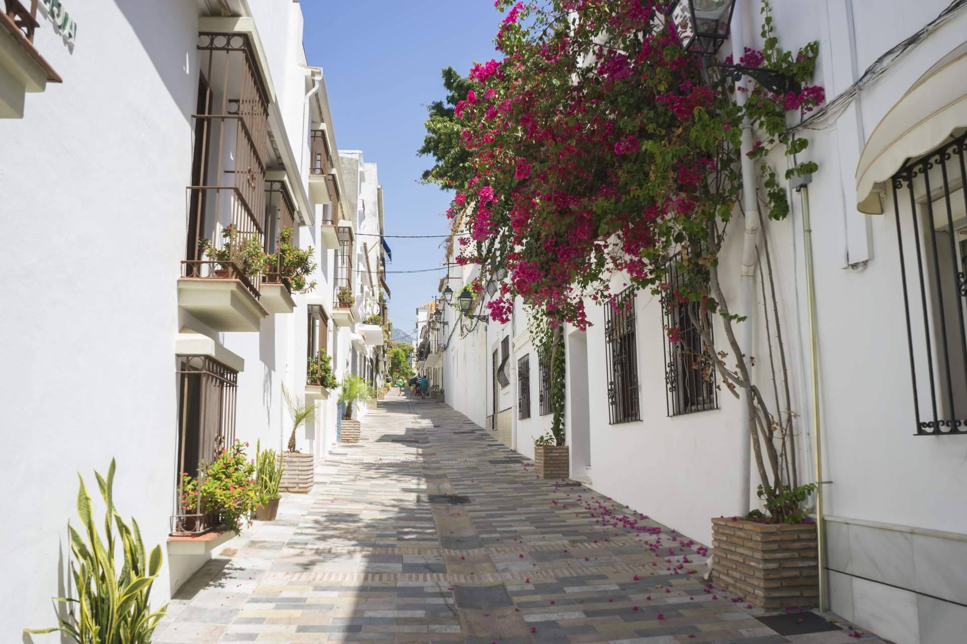 Casas en Marbella, la ciudad con variedad cultural y buenas escuelas internacionales